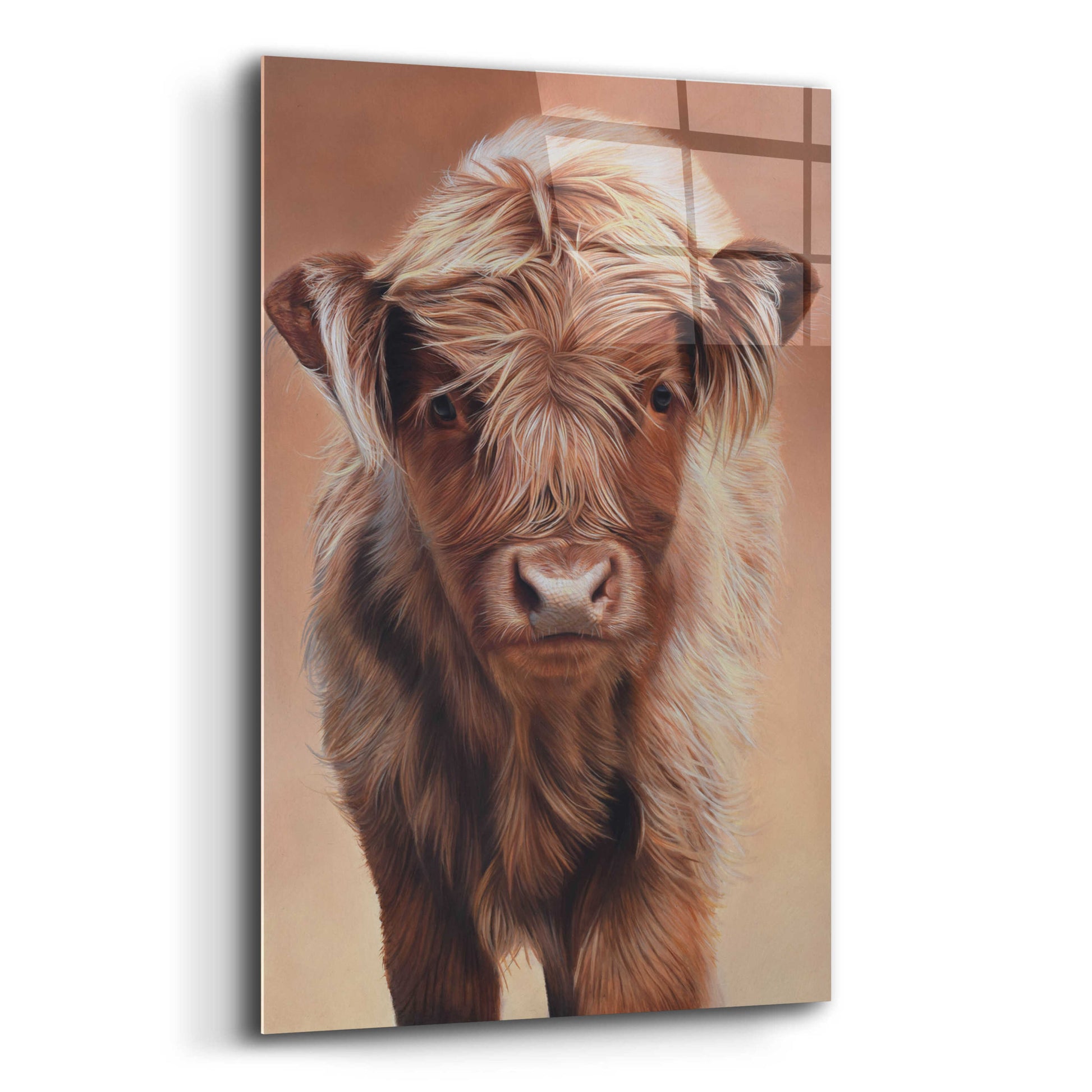 Epic Art 'Angus' by Sam Dolman, Acrylic Glass Wall Art,12x16