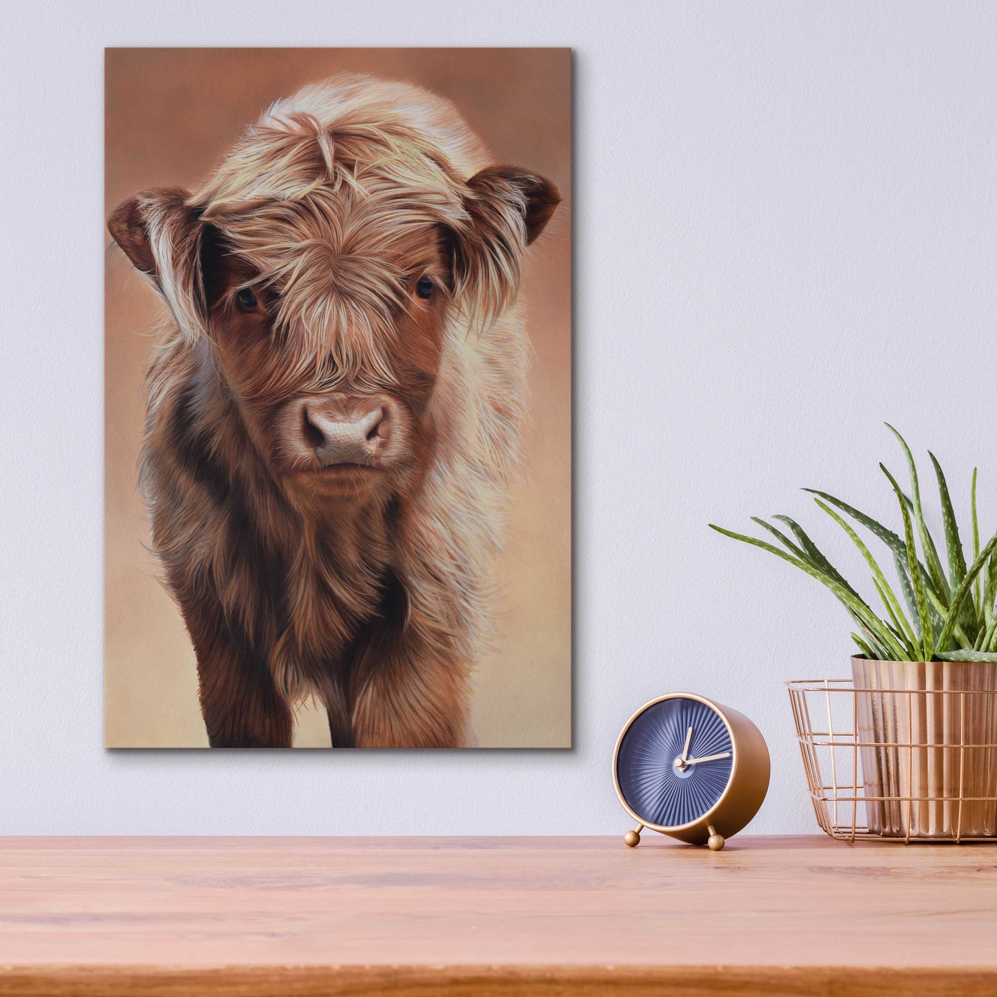 Epic Art 'Angus' by Sam Dolman, Acrylic Glass Wall Art,12x16