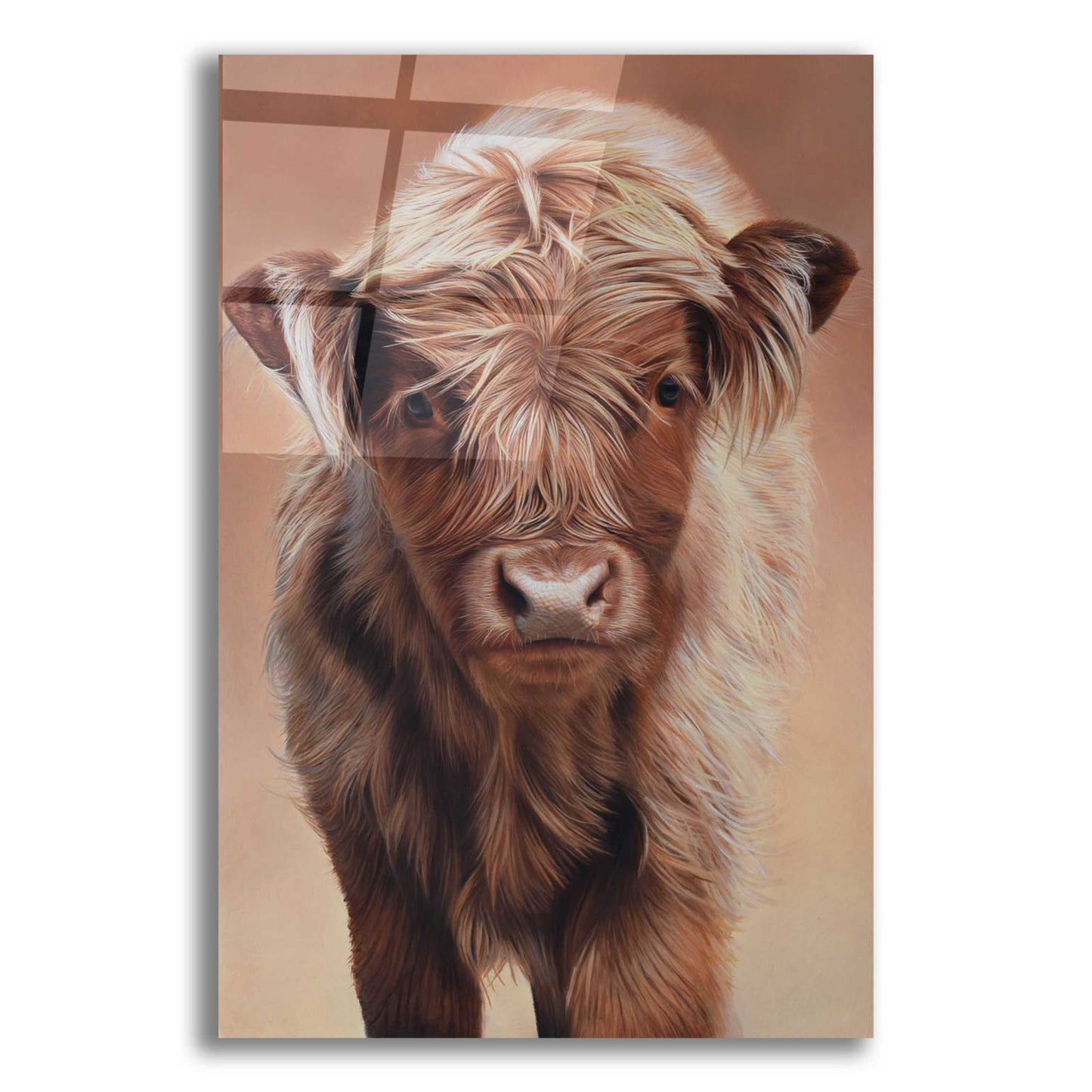 Epic Art 'Angus' by Sam Dolman, Acrylic Glass Wall Art,12x16