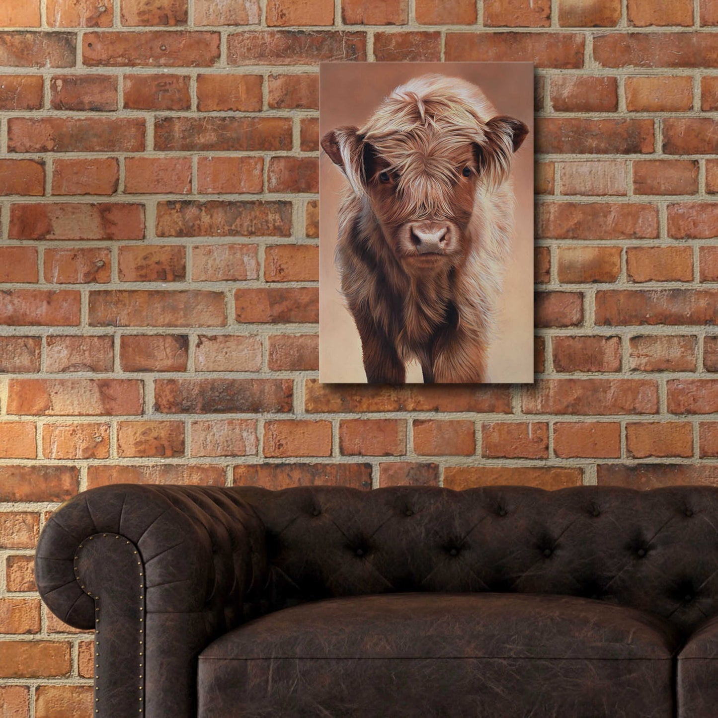 Epic Art 'Angus' by Sam Dolman, Acrylic Glass Wall Art,16x24