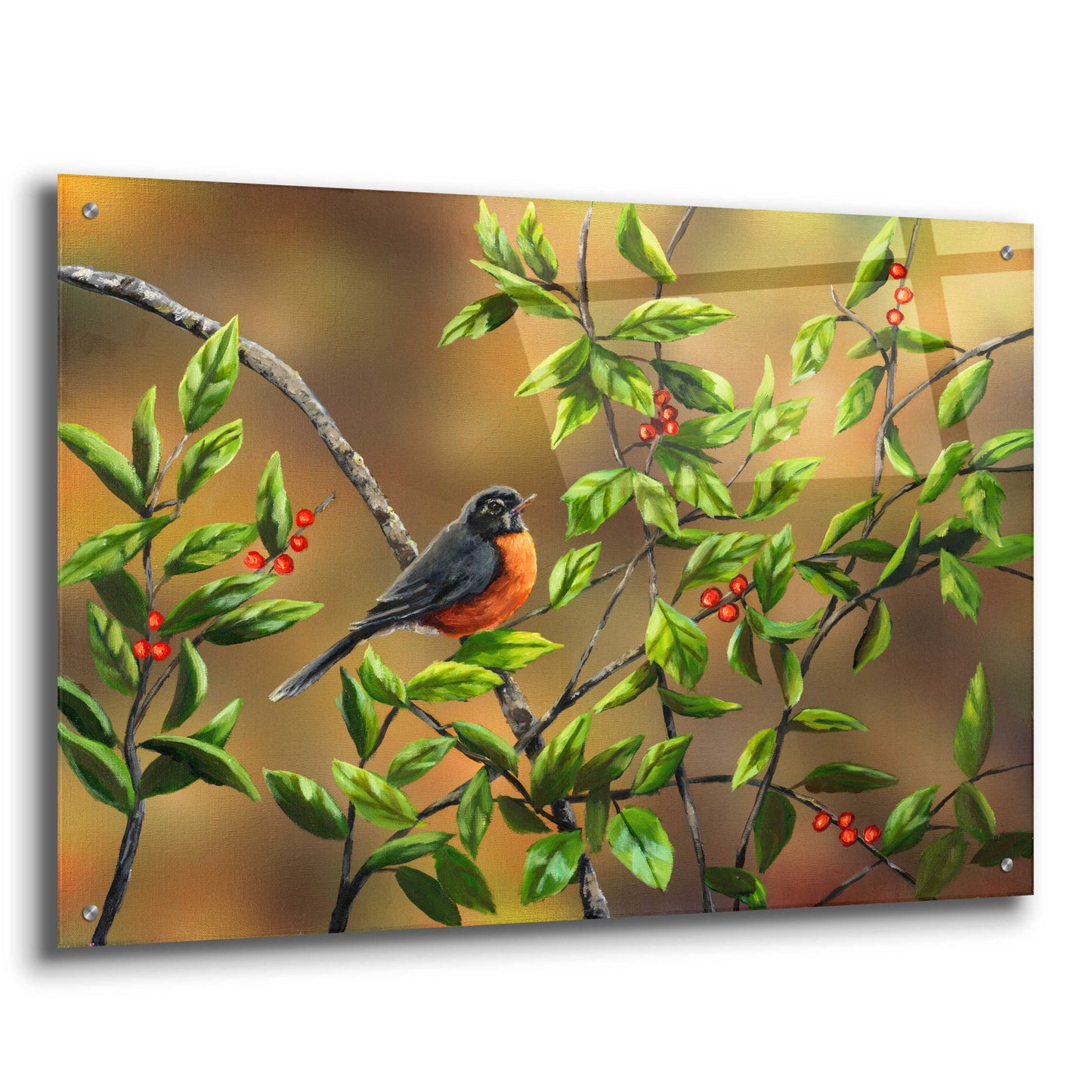 Epic Art 'Robin with Holly' by Sarah Davis, Acrylic Glass Wall Art,36x24