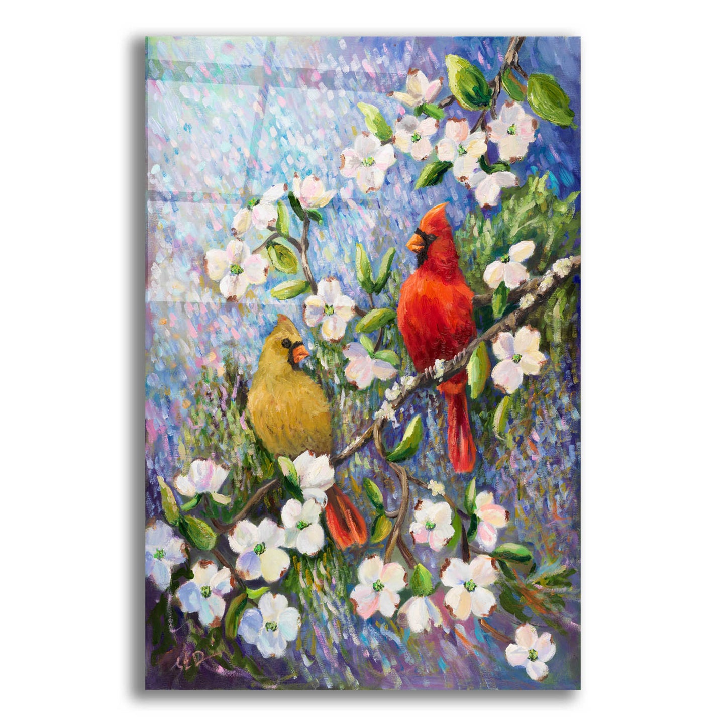 Epic Art 'Cardinal Impressions' by Sarah Davis, Acrylic Glass Wall Art,12x16