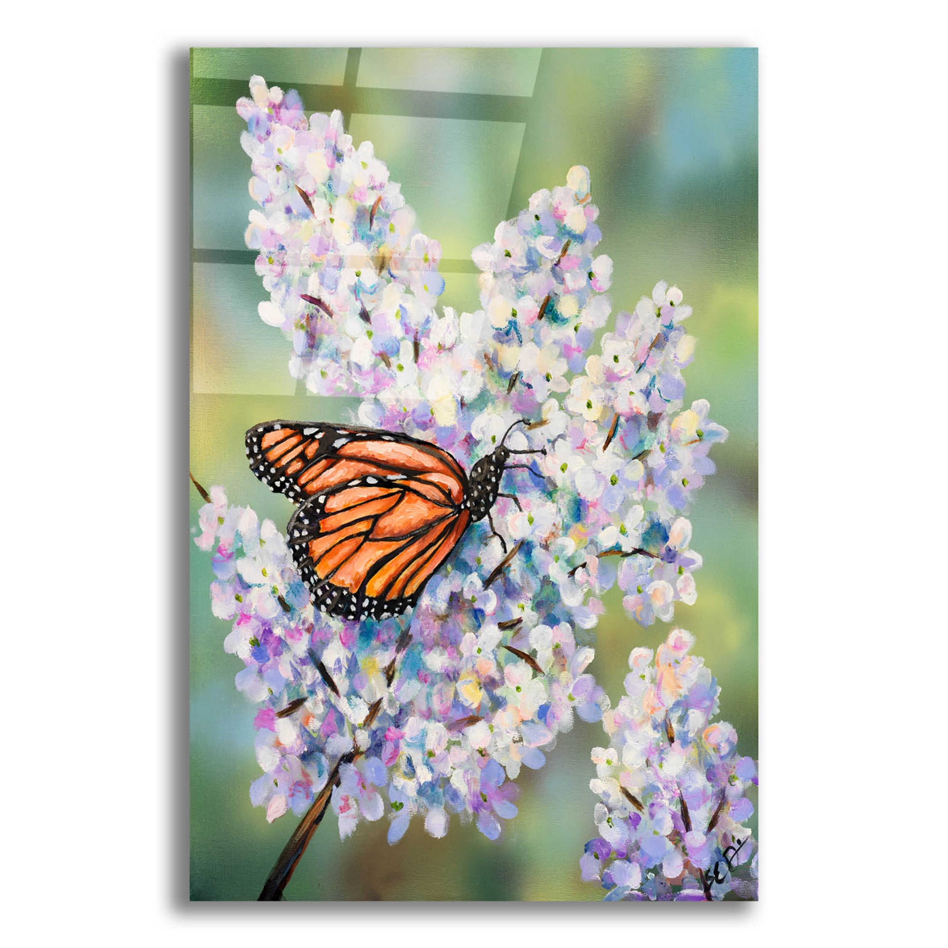 Epic Art 'Butterfly with Hydrangea' by Sarah Davis, Acrylic Glass Wall Art,12x16