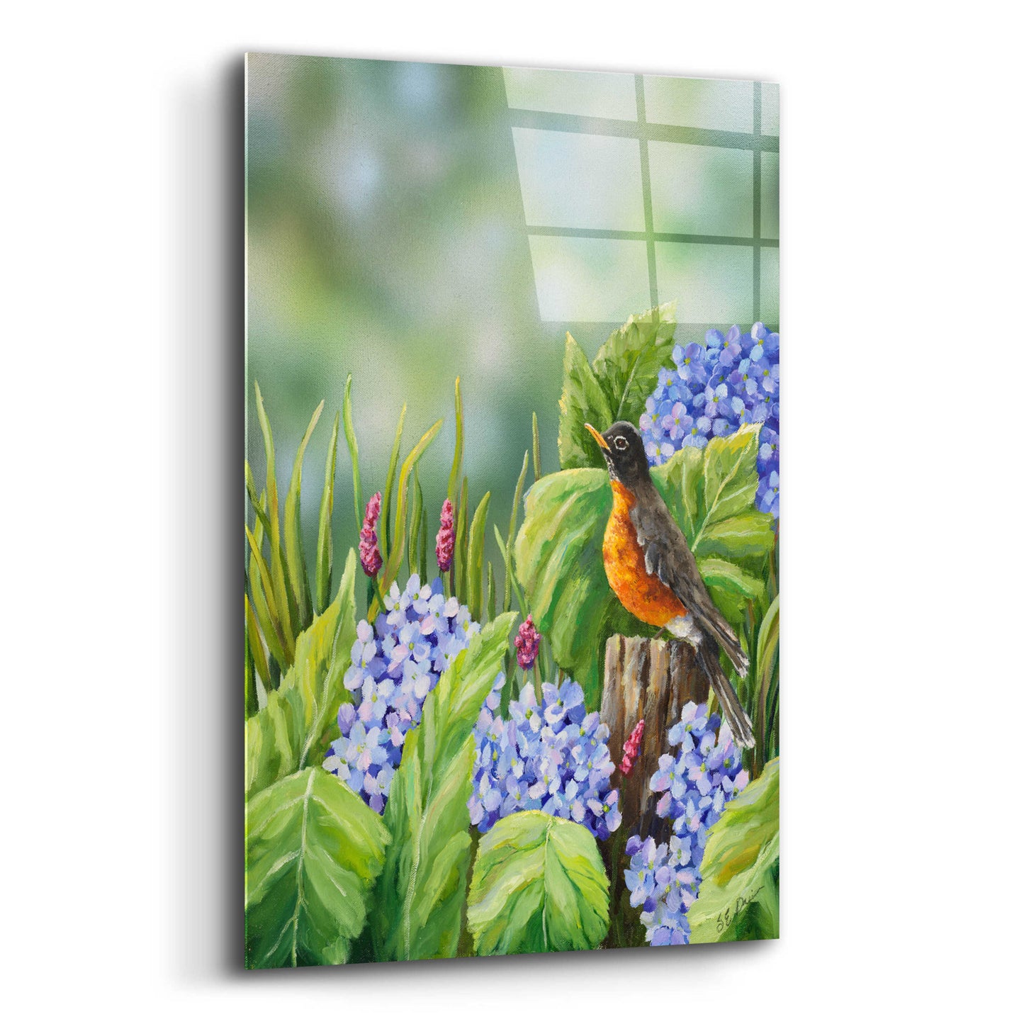 Epic Art 'Robin With Hydrangeas' by Sarah Davis, Acrylic Glass Wall Art,12x16