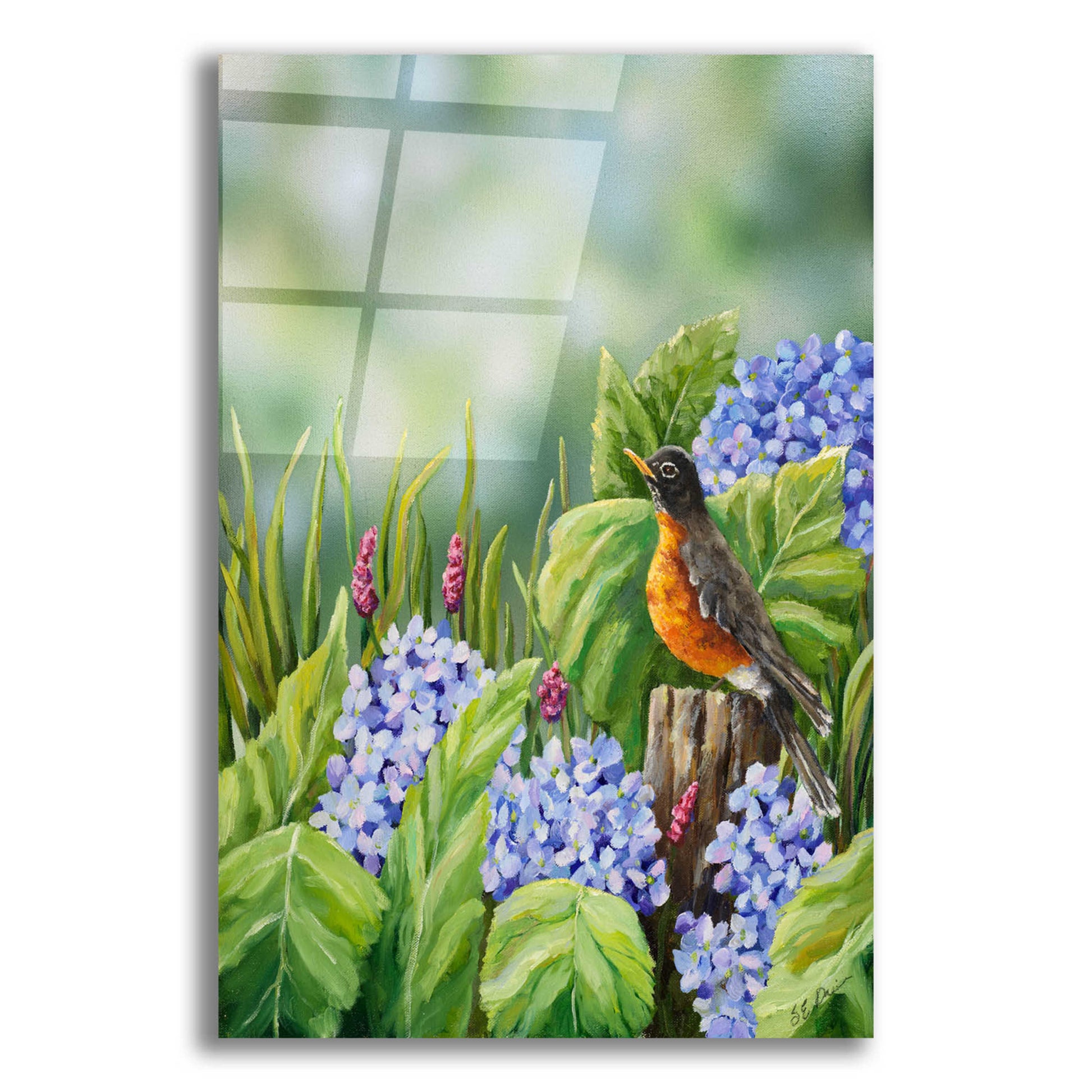 Epic Art 'Robin With Hydrangeas' by Sarah Davis, Acrylic Glass Wall Art,12x16