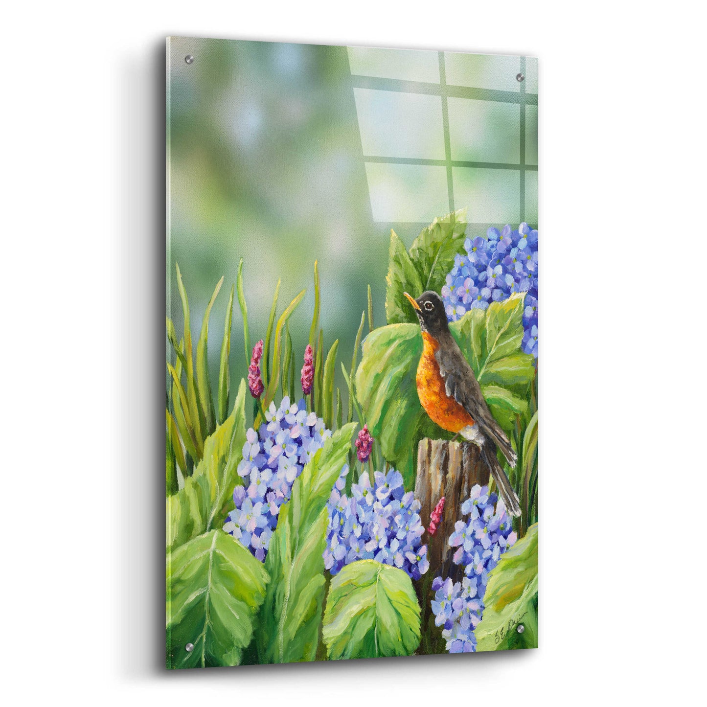 Epic Art 'Robin With Hydrangeas' by Sarah Davis, Acrylic Glass Wall Art,24x36