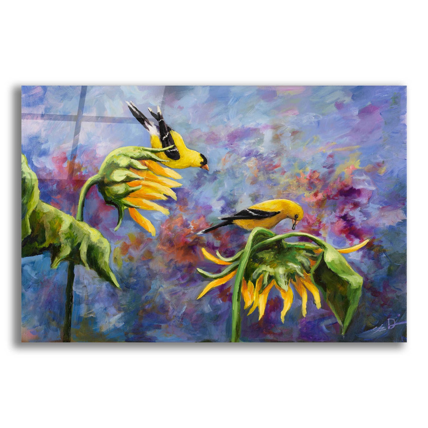 Epic Art 'Finches with Sunflowers' by Sarah Davis, Acrylic Glass Wall Art,16x12