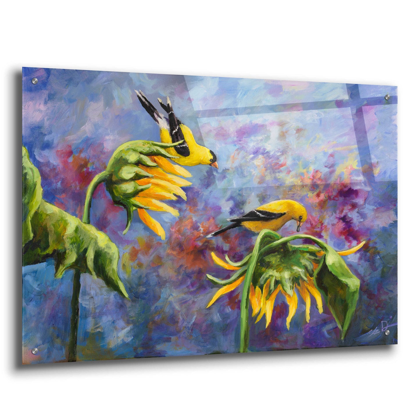 Epic Art 'Finches with Sunflowers' by Sarah Davis, Acrylic Glass Wall Art,36x24