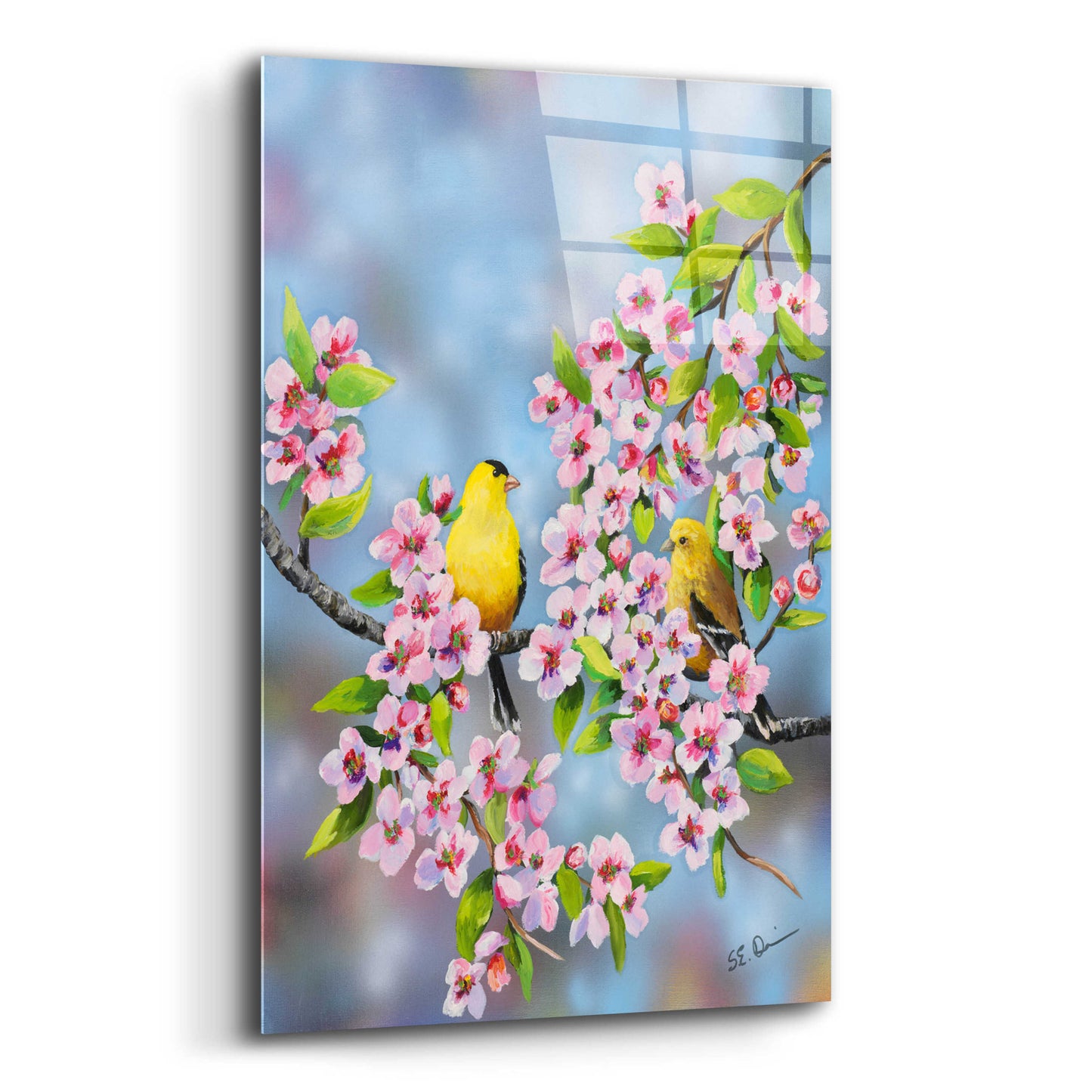 Epic Art 'Finches In Cherry Tree' by Sarah Davis, Acrylic Glass Wall Art,12x16