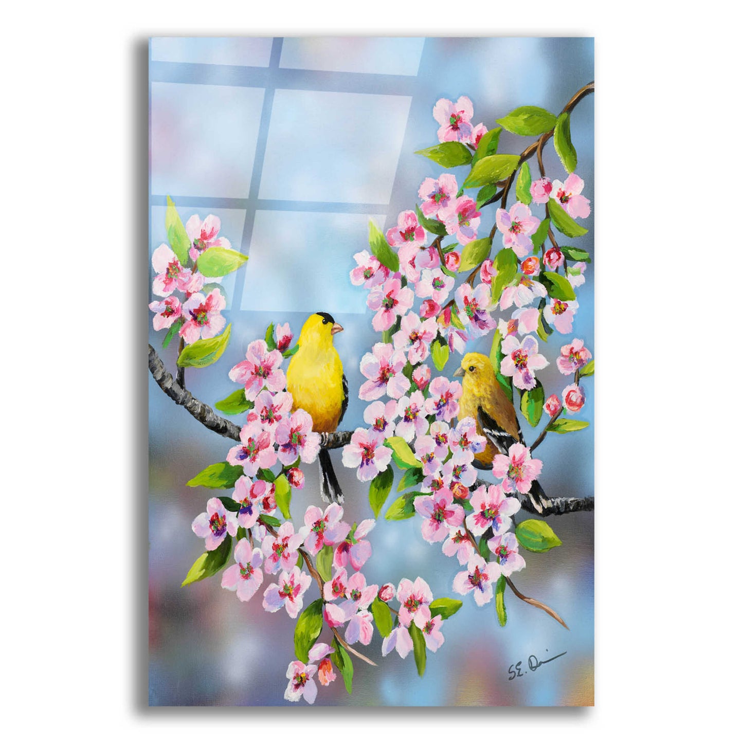 Epic Art 'Finches In Cherry Tree' by Sarah Davis, Acrylic Glass Wall Art,12x16