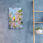 Epic Art 'Finches In Cherry Tree' by Sarah Davis, Acrylic Glass Wall Art,16x24