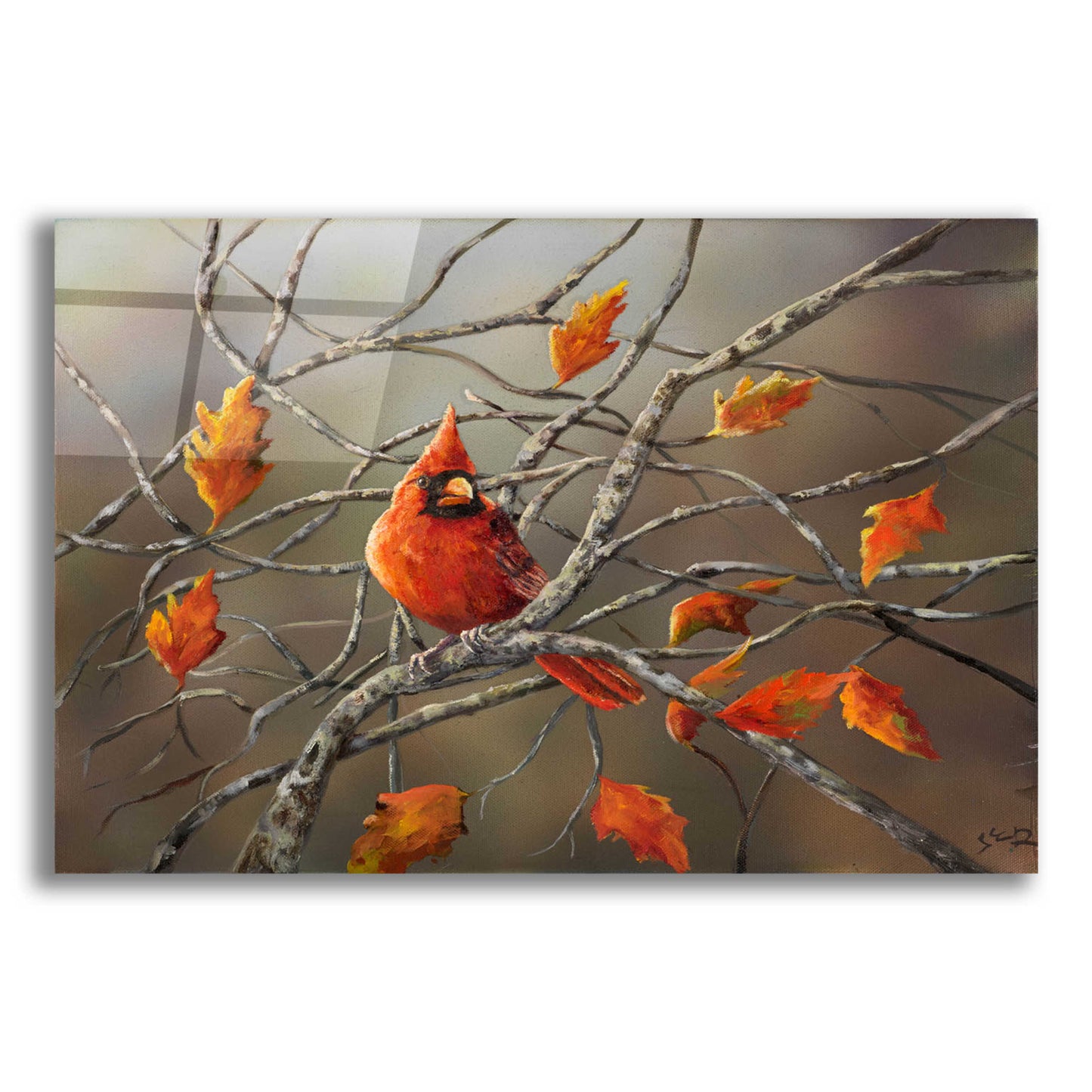 Epic Art 'Fall Cardinal' by Sarah Davis, Acrylic Glass Wall Art,16x12