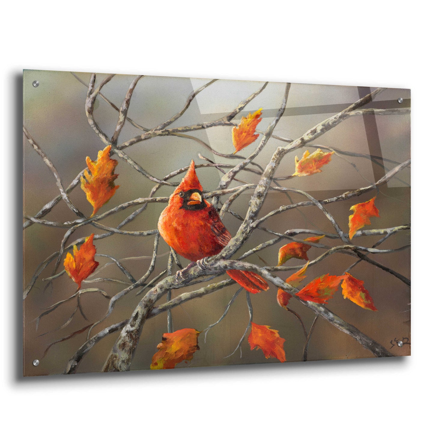 Epic Art 'Fall Cardinal' by Sarah Davis, Acrylic Glass Wall Art,36x24