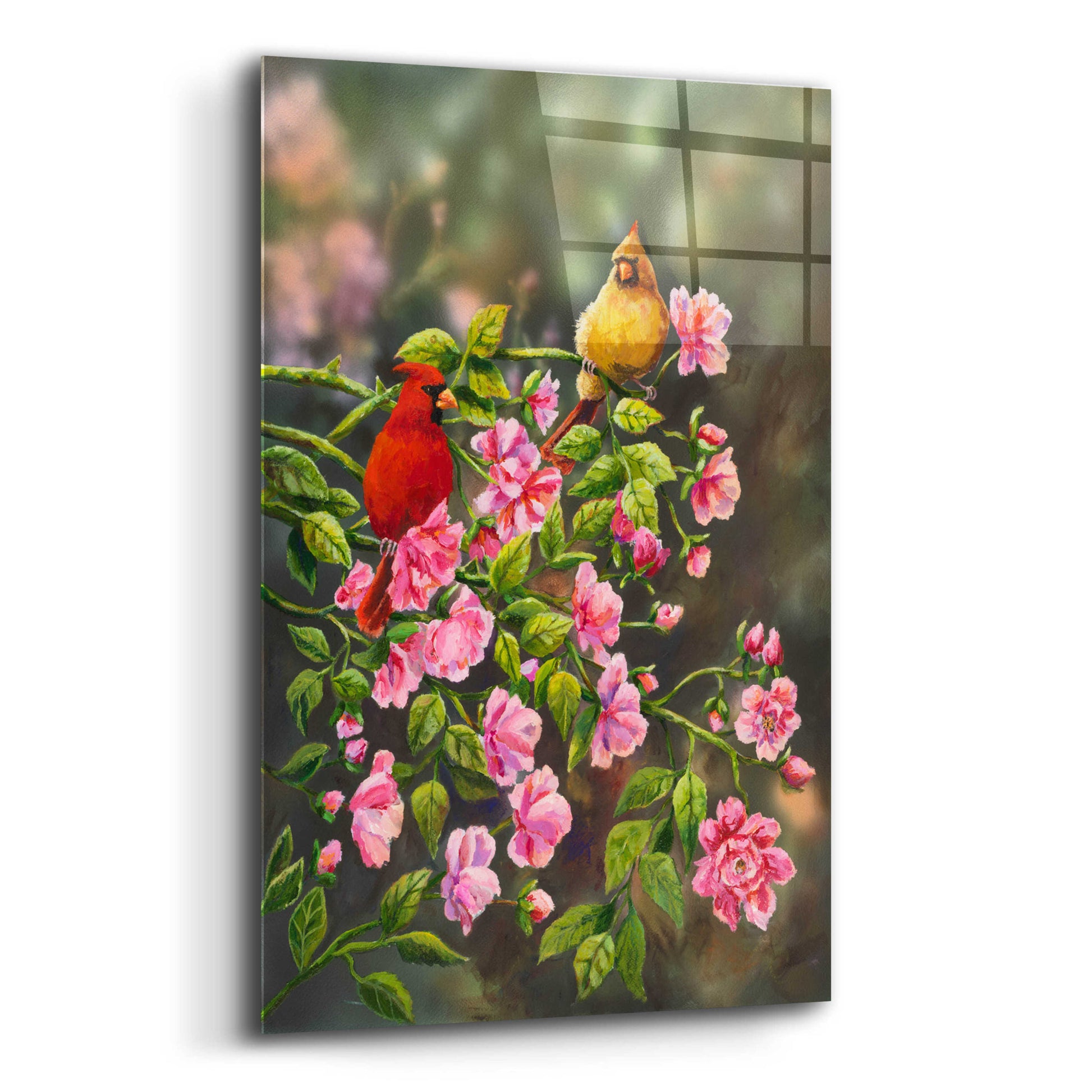 Epic Art 'Cardinals with Roses' by Sarah Davis, Acrylic Glass Wall Art,12x16