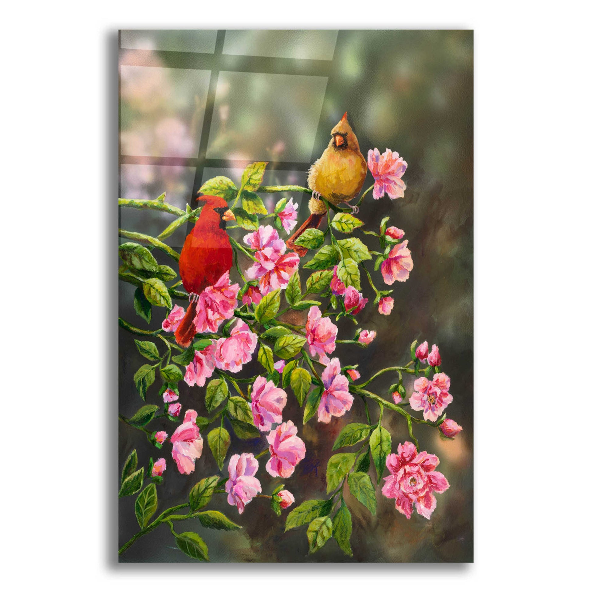 Epic Art 'Cardinals with Roses' by Sarah Davis, Acrylic Glass Wall Art,12x16