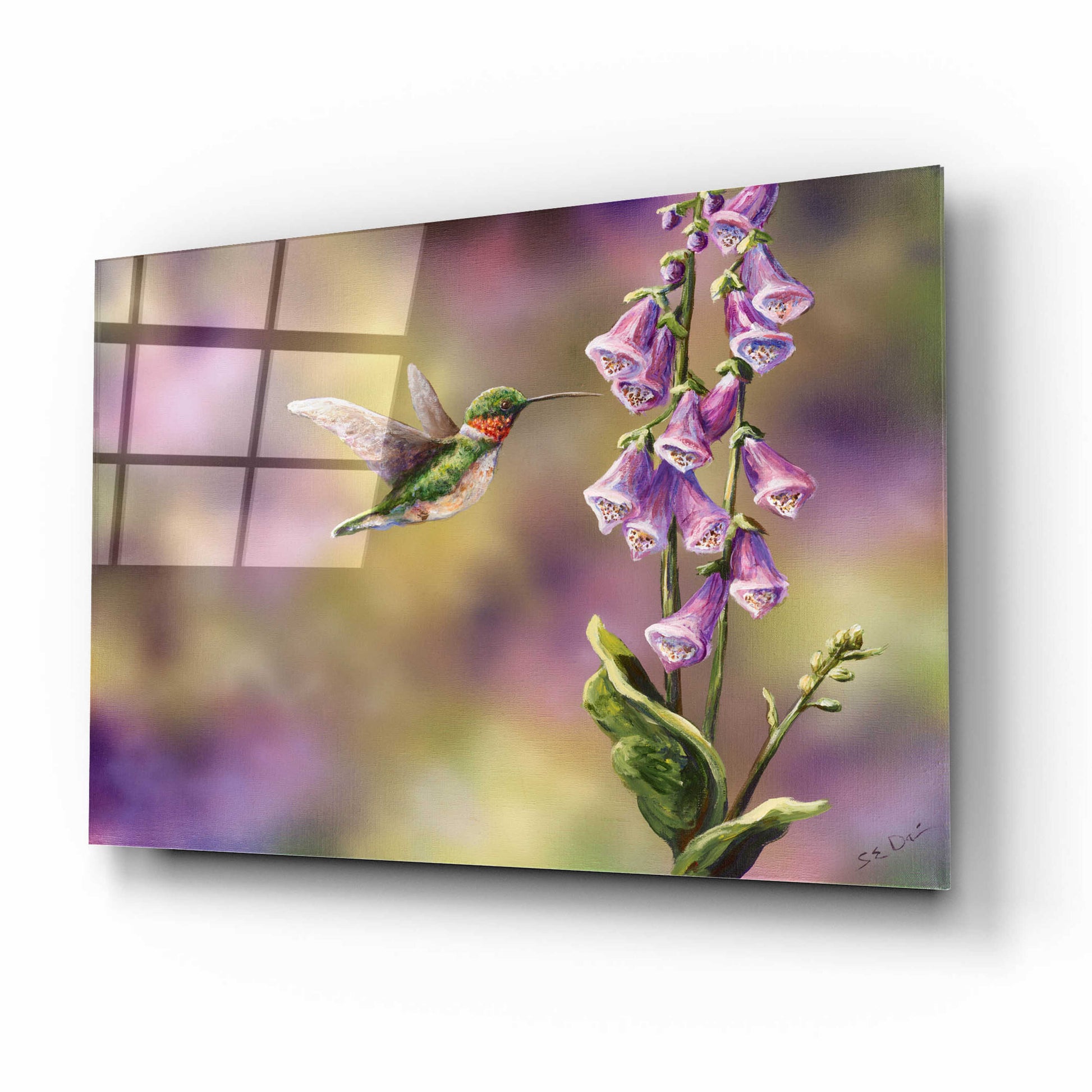 Epic Art 'Spring Hummingbird' by Sarah Davis, Acrylic Glass Wall Art,16x12