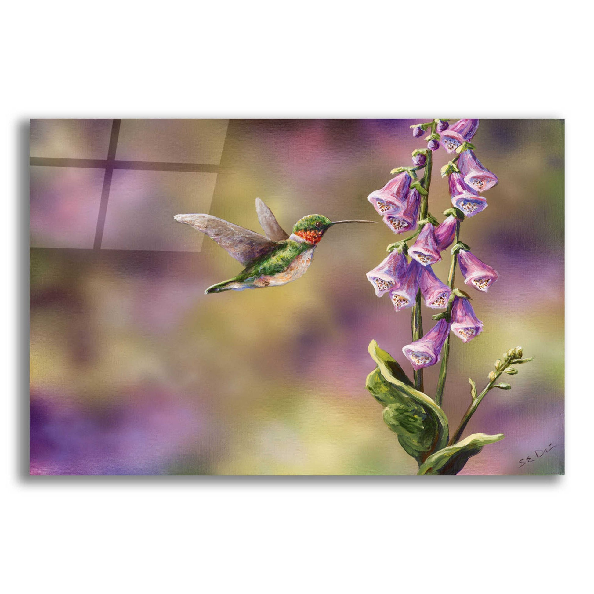 Epic Art 'Spring Hummingbird' by Sarah Davis, Acrylic Glass Wall Art,16x12