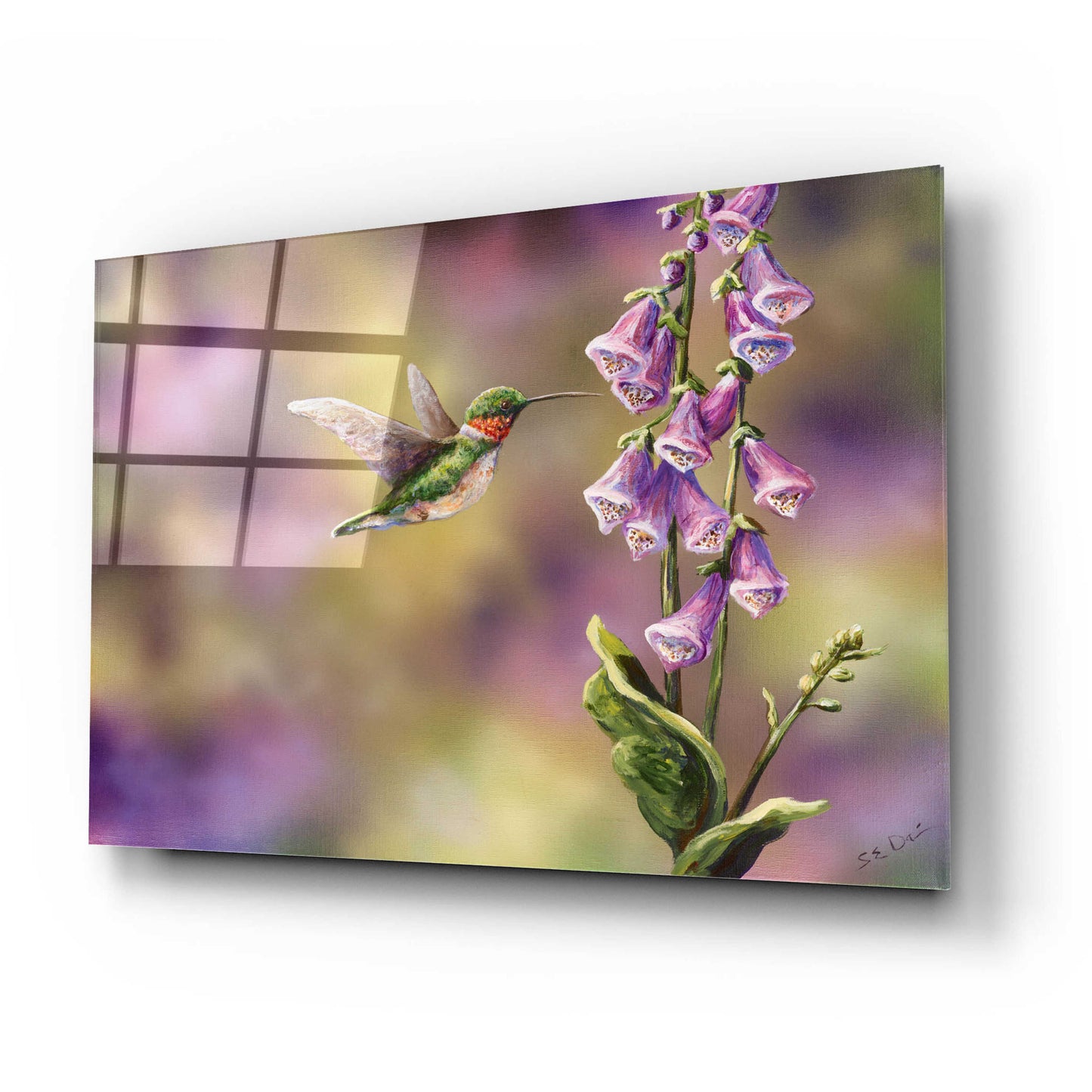 Epic Art 'Spring Hummingbird' by Sarah Davis, Acrylic Glass Wall Art,24x16