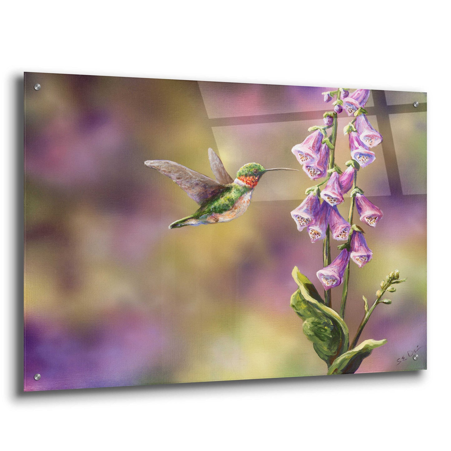 Epic Art 'Spring Hummingbird' by Sarah Davis, Acrylic Glass Wall Art,36x24