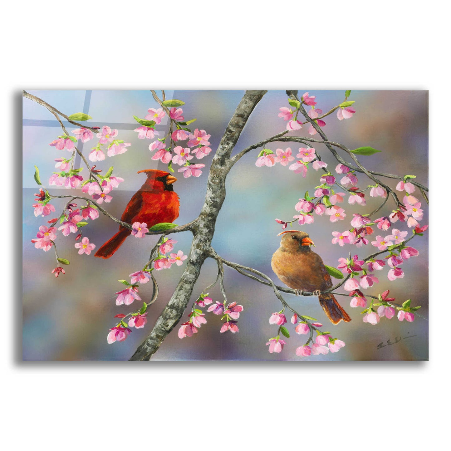 Epic Art 'Spring Cardinals' by Sarah Davis, Acrylic Glass Wall Art,16x12