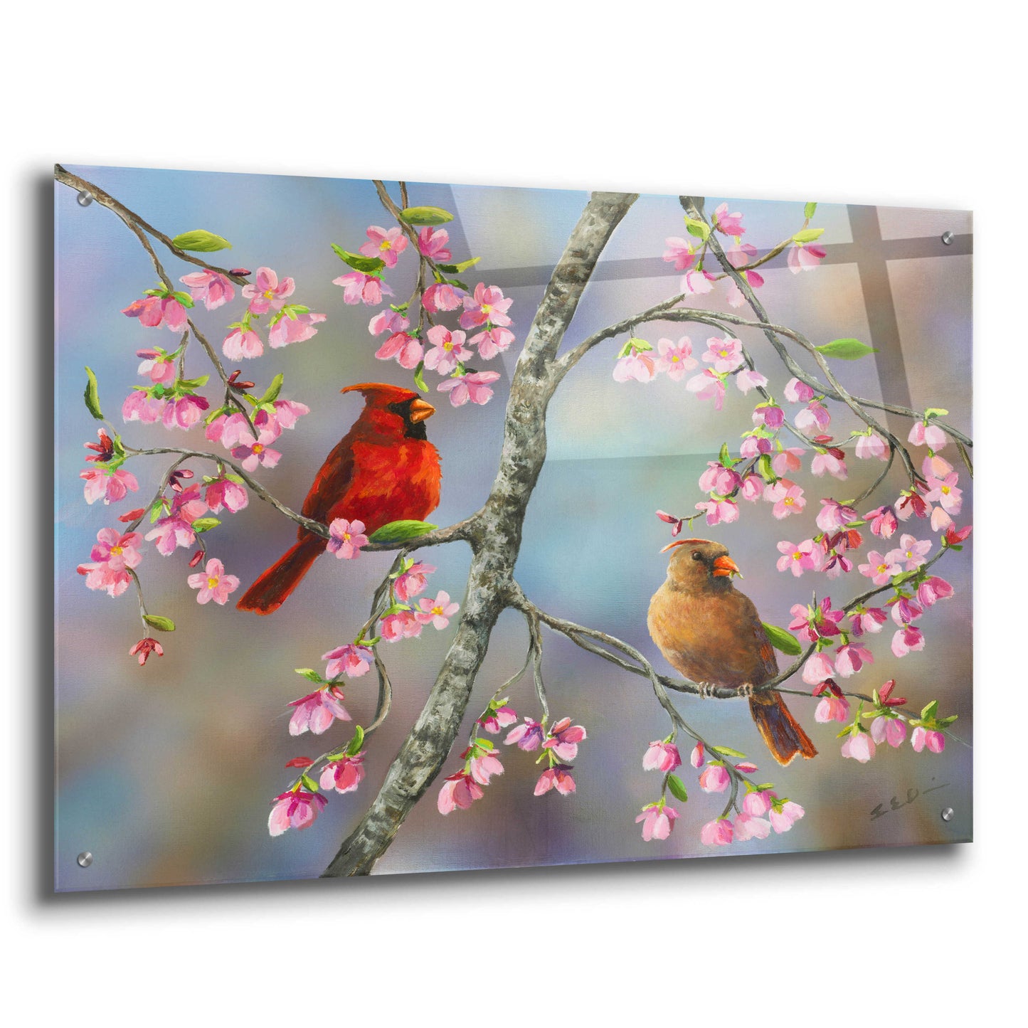 Epic Art 'Spring Cardinals' by Sarah Davis, Acrylic Glass Wall Art,36x24