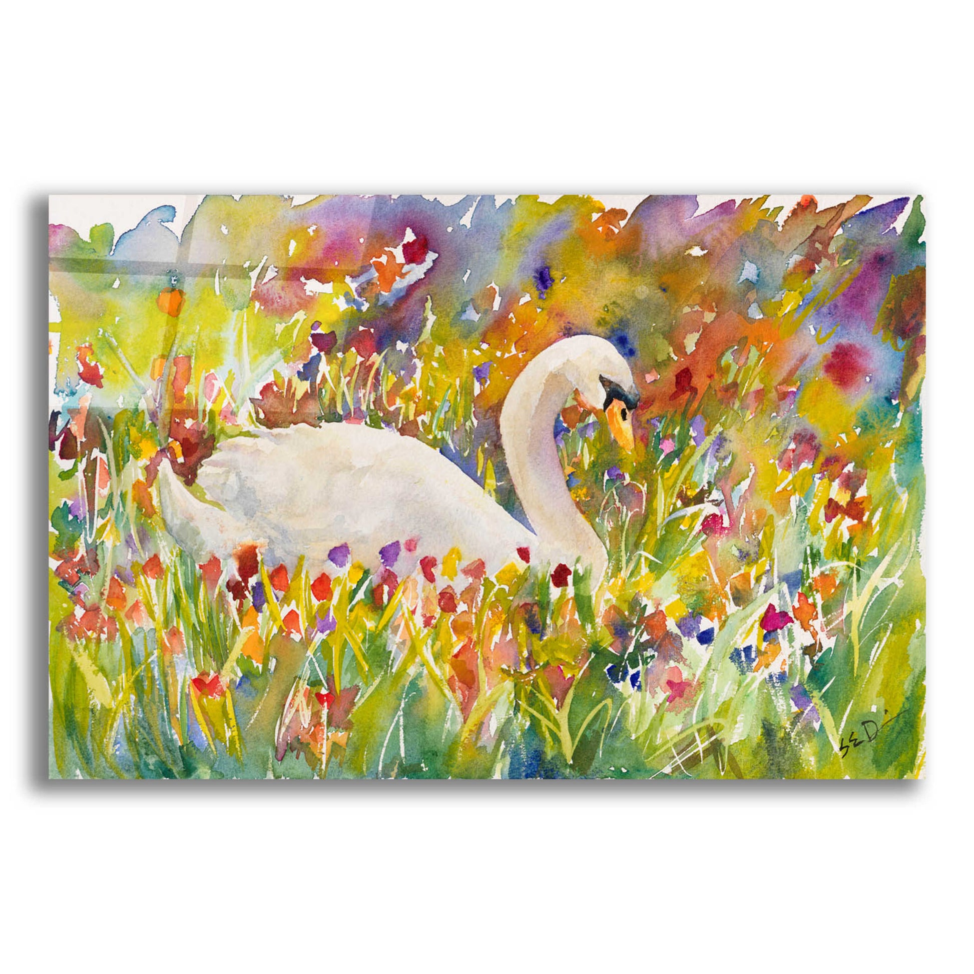 Epic Art 'Colorful Swan' by Sarah Davis, Acrylic Glass Wall Art,16x12