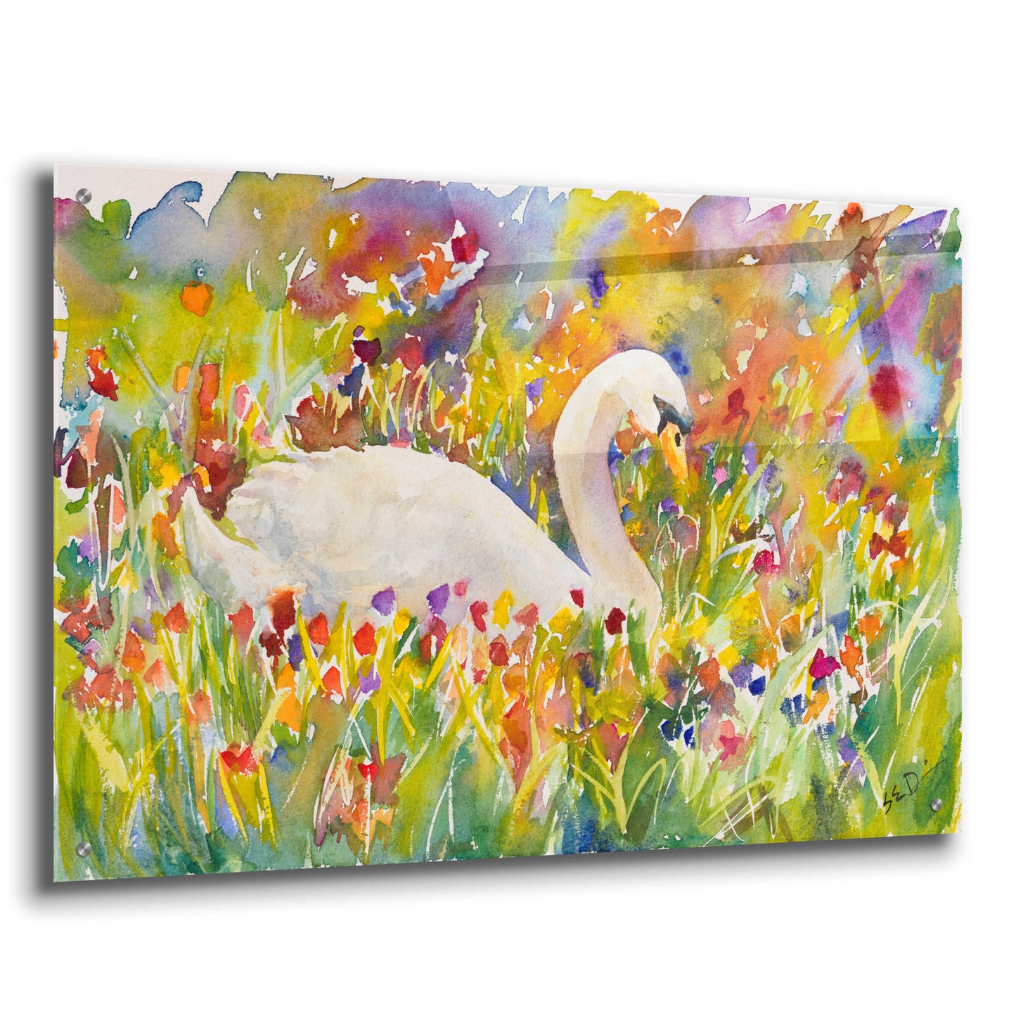 Epic Art 'Colorful Swan' by Sarah Davis, Acrylic Glass Wall Art,36x24