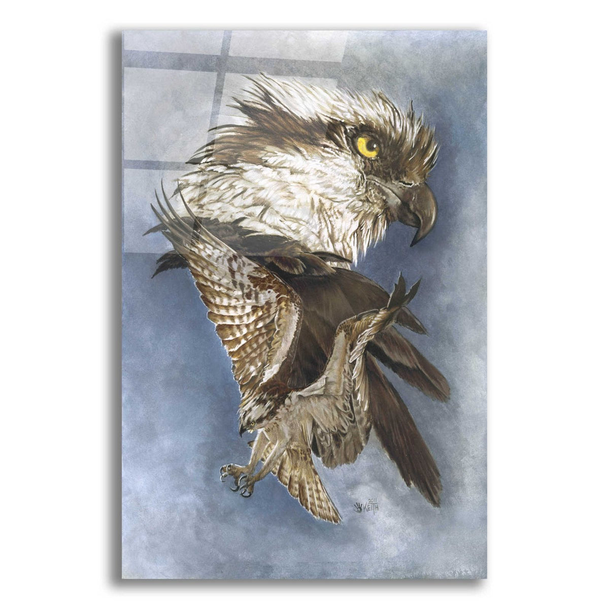 Assail by Barbara Keith acrylic glass wall art
