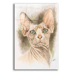 Sphinx by Barbara Keith acrylic glass wall art