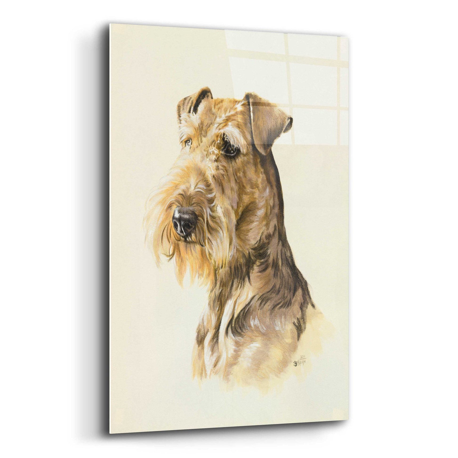 Epic Art 'Airedale' by Barbara Keith, Acrylic Glass Wall Art,12x16