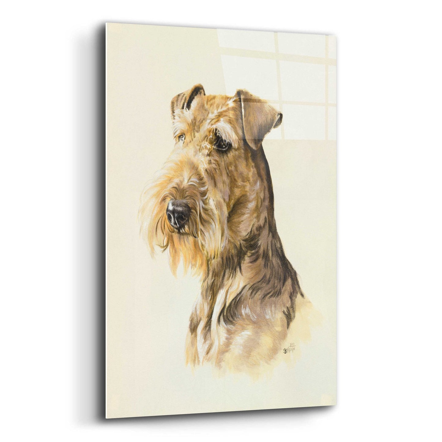 Epic Art 'Airedale' by Barbara Keith, Acrylic Glass Wall Art,16x24