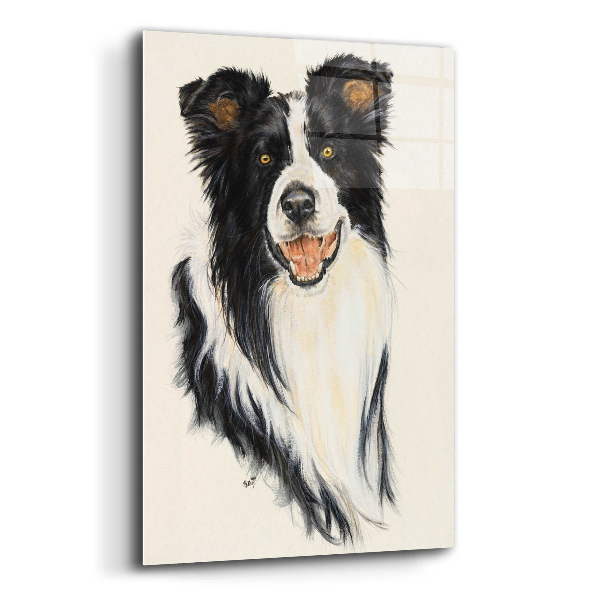 Epic Art 'Border Collie' by Barbara Keith, Acrylic Glass Wall Art,12x16