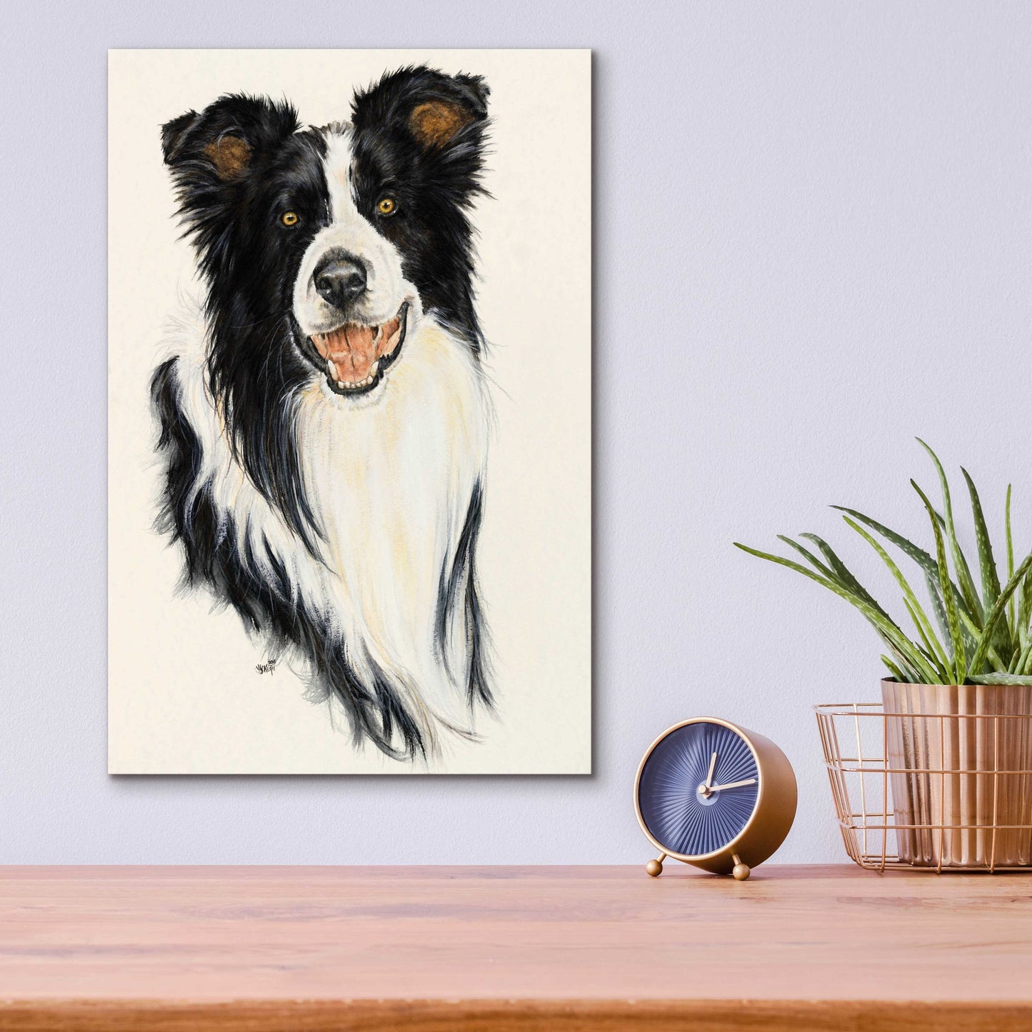 Epic Art 'Border Collie' by Barbara Keith, Acrylic Glass Wall Art,12x16