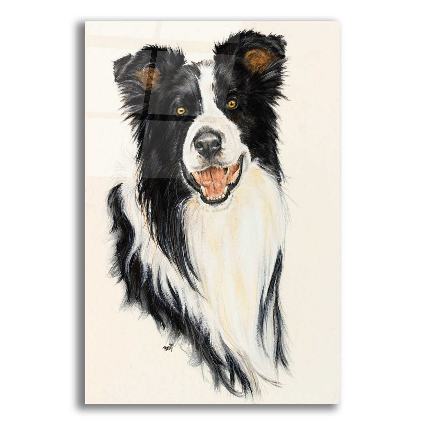 Epic Art 'Border Collie' by Barbara Keith, Acrylic Glass Wall Art,12x16