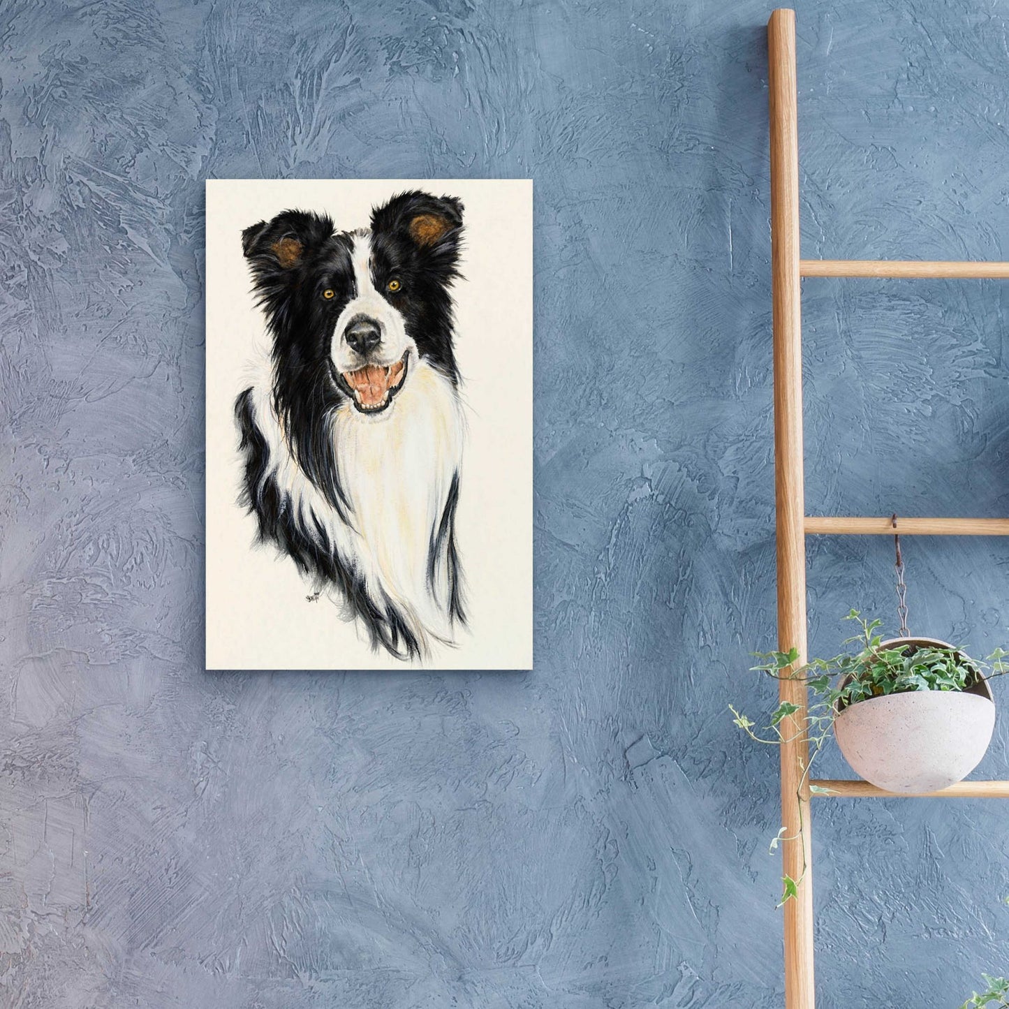 Epic Art 'Border Collie' by Barbara Keith, Acrylic Glass Wall Art,16x24