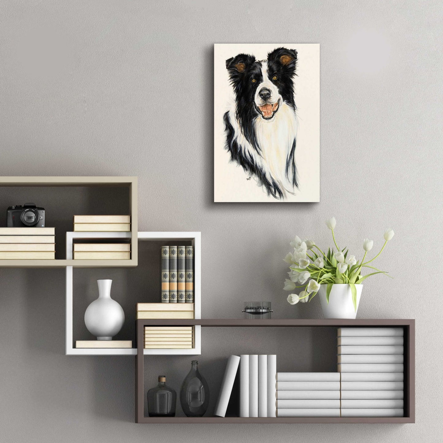 Epic Art 'Border Collie' by Barbara Keith, Acrylic Glass Wall Art,16x24