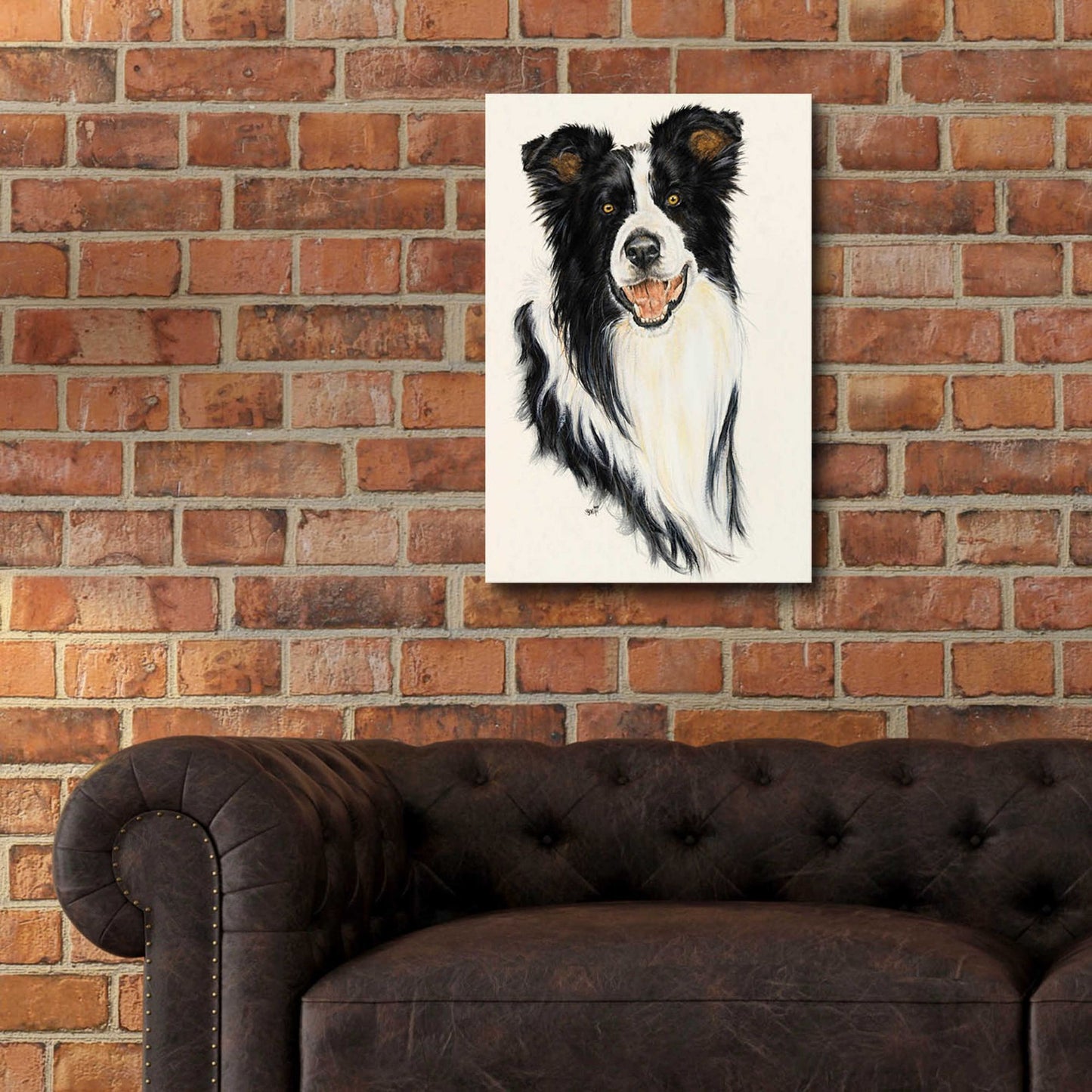 Epic Art 'Border Collie' by Barbara Keith, Acrylic Glass Wall Art,16x24