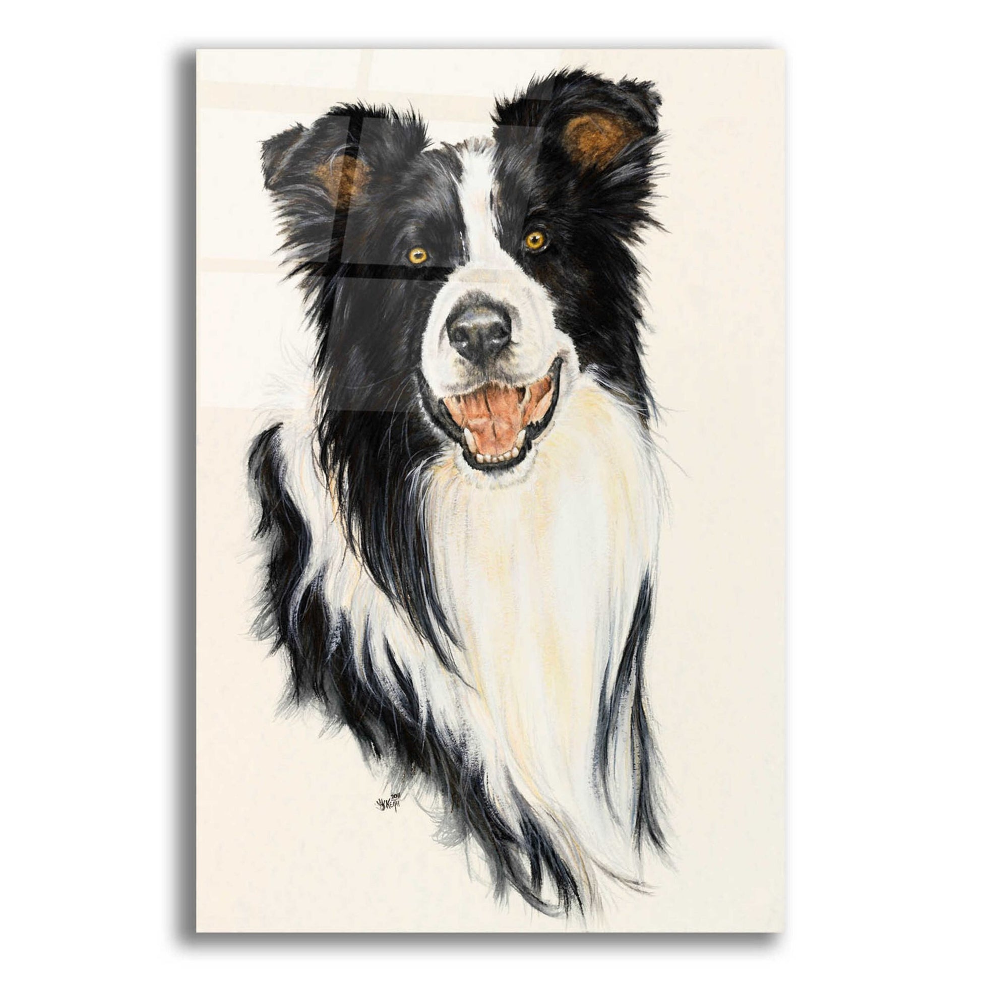 Epic Art 'Border Collie' by Barbara Keith, Acrylic Glass Wall Art,16x24