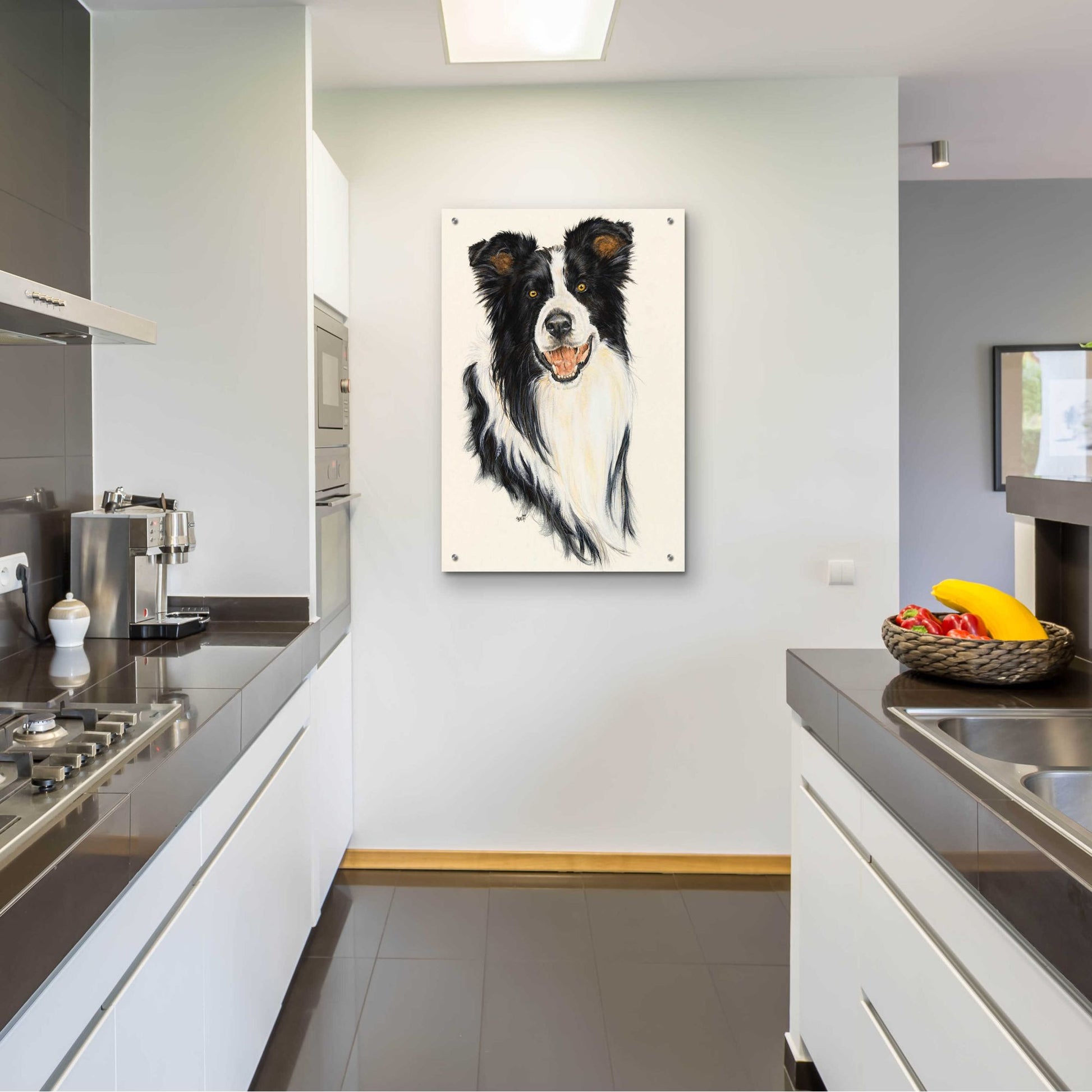 Epic Art 'Border Collie' by Barbara Keith, Acrylic Glass Wall Art,24x36