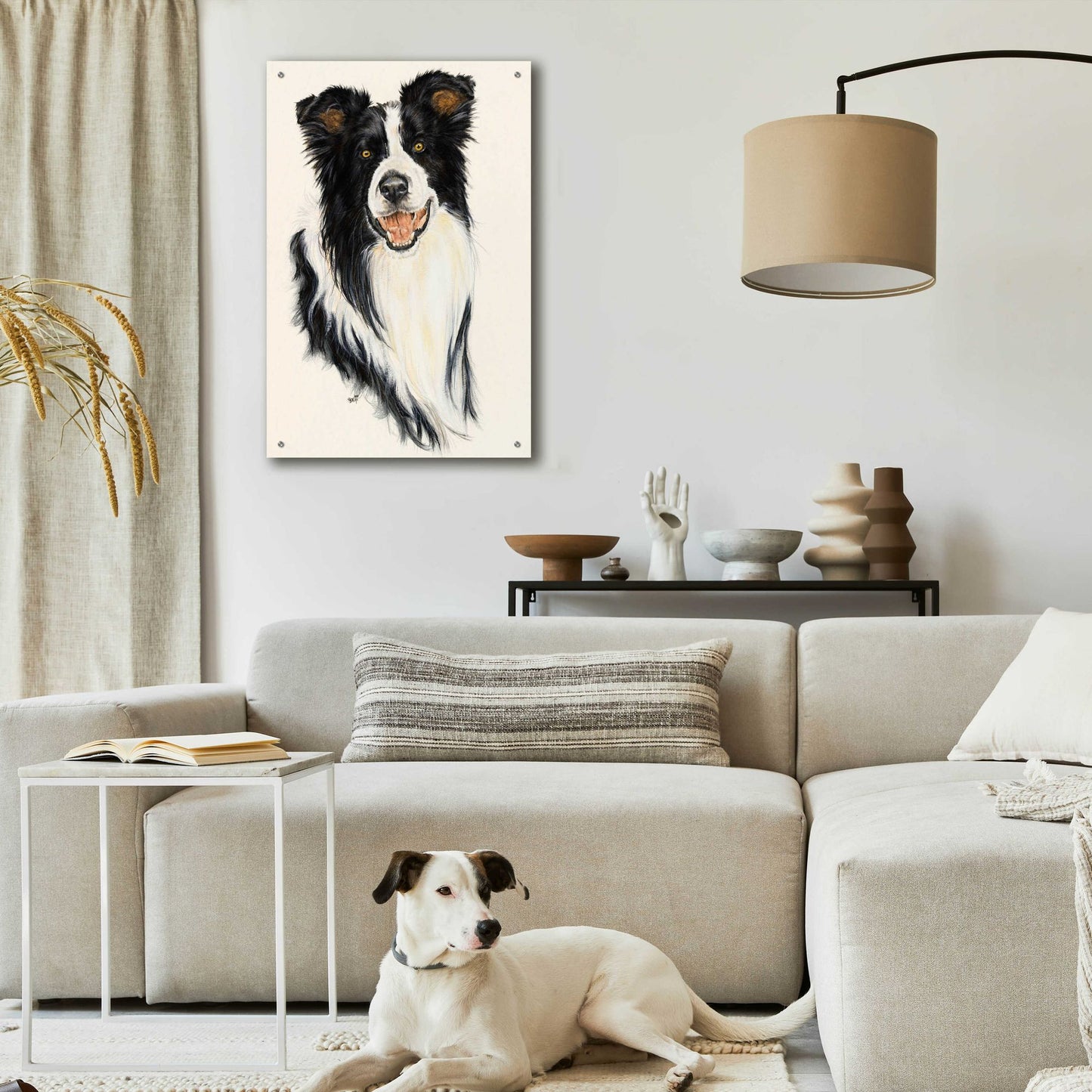 Epic Art 'Border Collie' by Barbara Keith, Acrylic Glass Wall Art,24x36