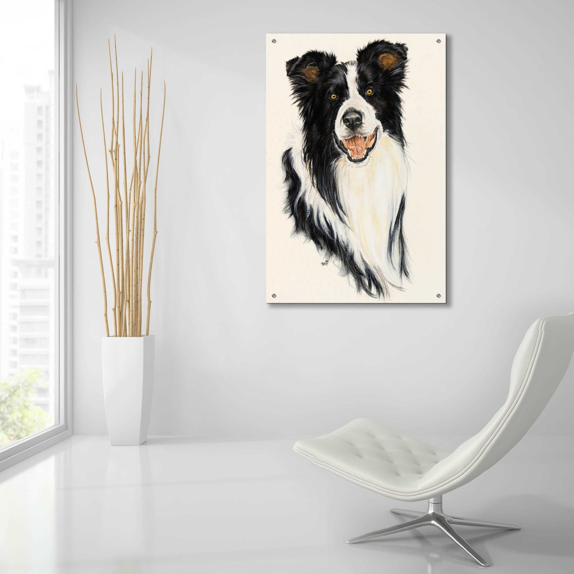 Epic Art 'Border Collie' by Barbara Keith, Acrylic Glass Wall Art,24x36