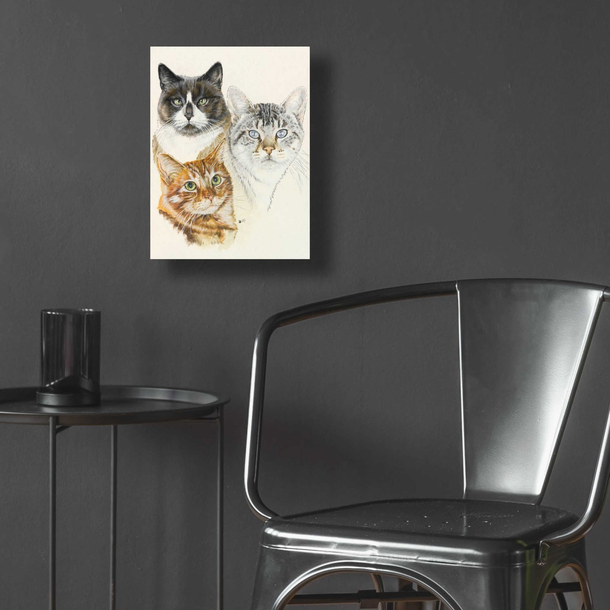 Epic Art 'American Shorthair 2' by Barbara Keith, Acrylic Glass Wall Art,12x16