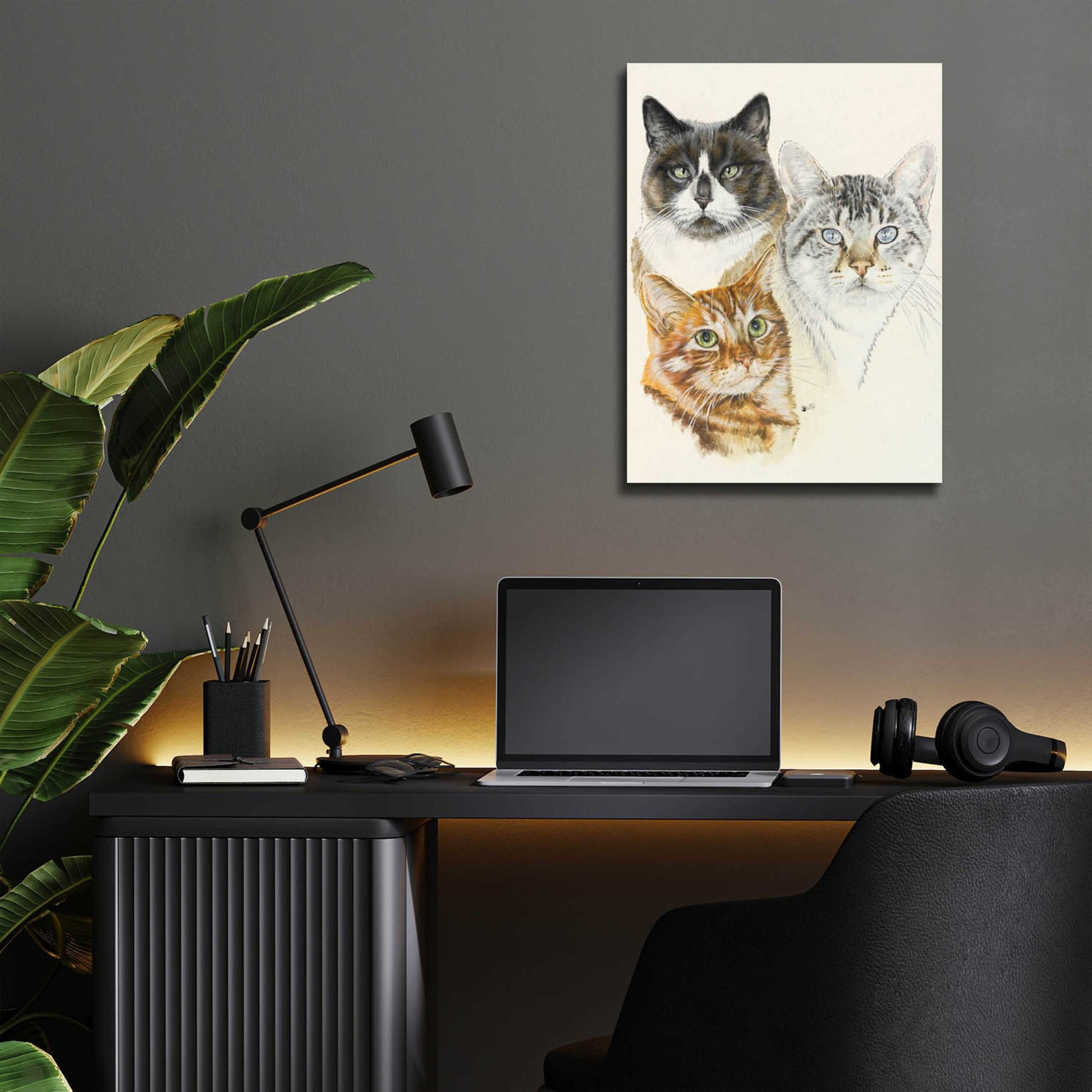 Epic Art 'American Shorthair 2' by Barbara Keith, Acrylic Glass Wall Art,12x16