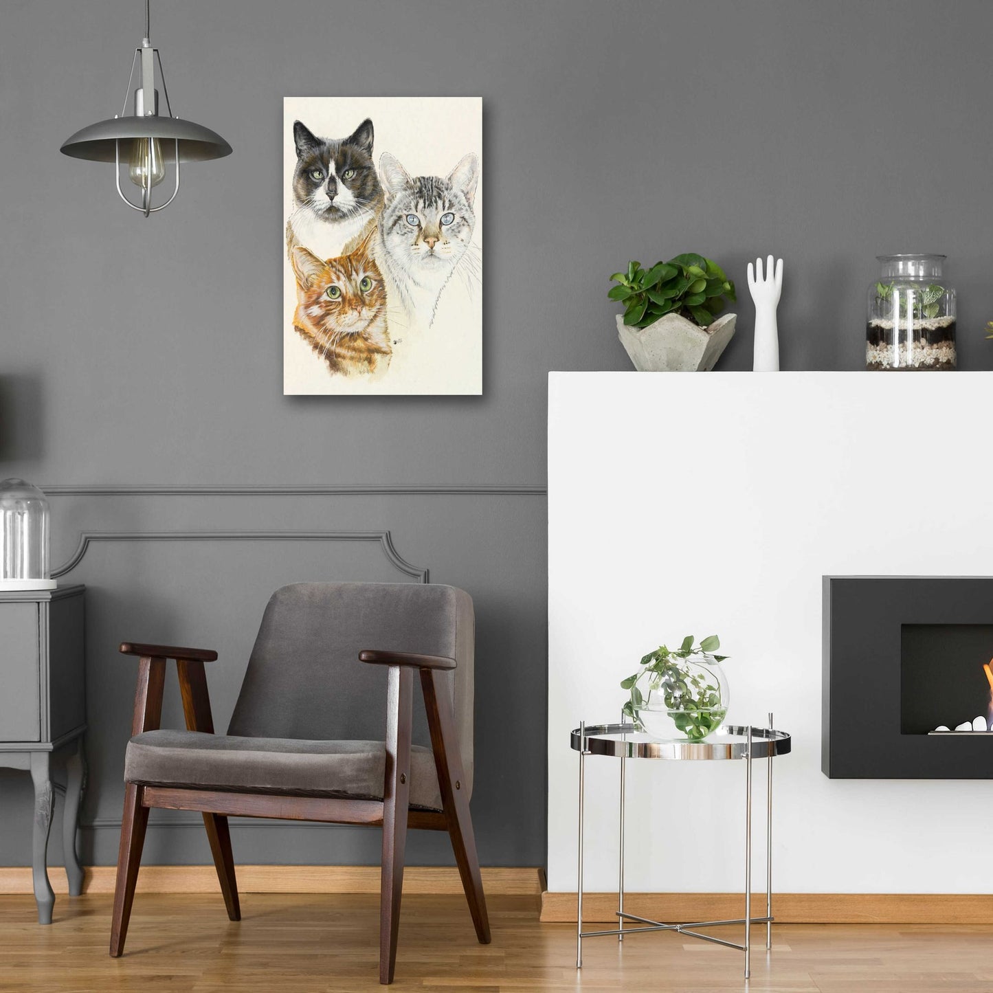 Epic Art 'American Shorthair 2' by Barbara Keith, Acrylic Glass Wall Art,16x24