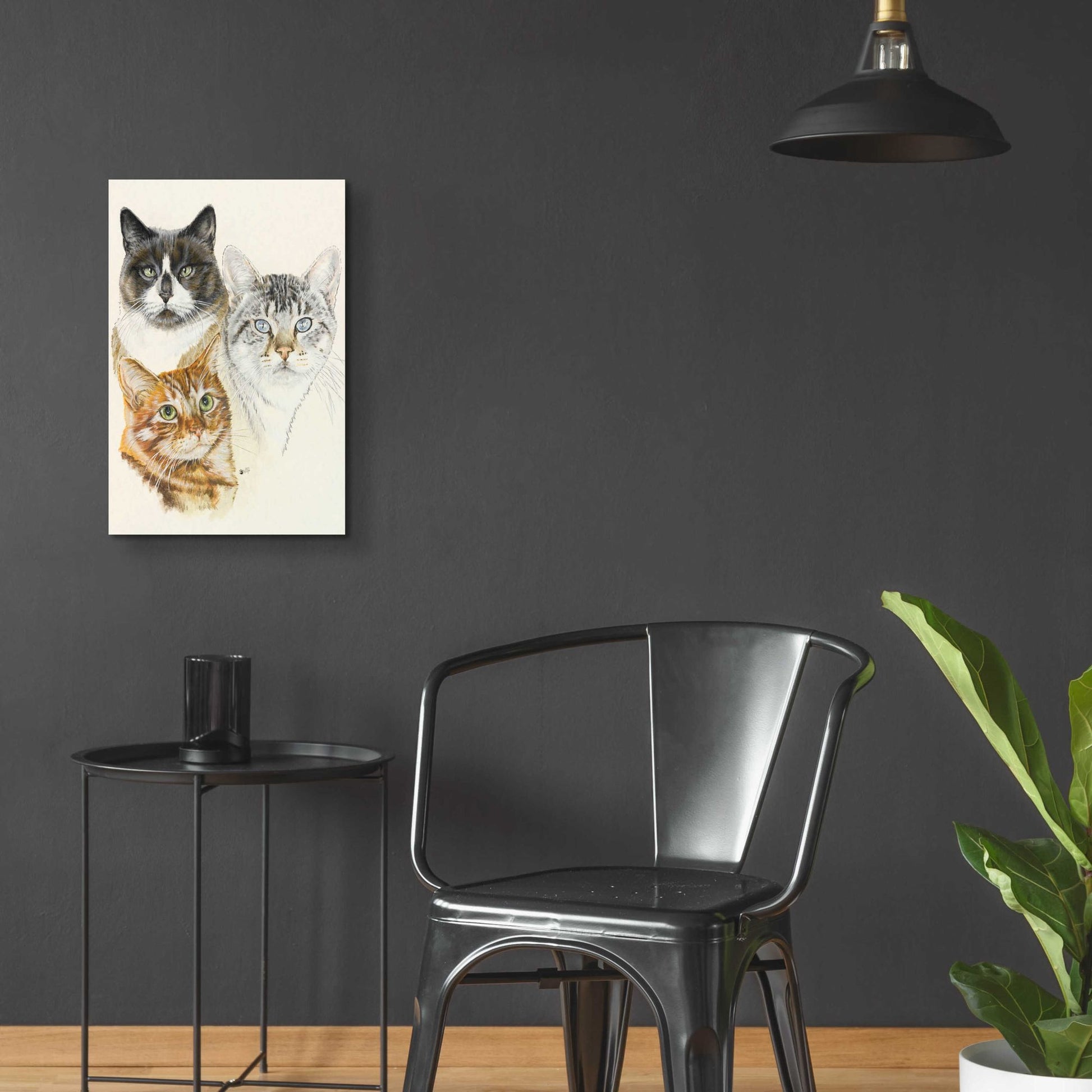 Epic Art 'American Shorthair 2' by Barbara Keith, Acrylic Glass Wall Art,16x24