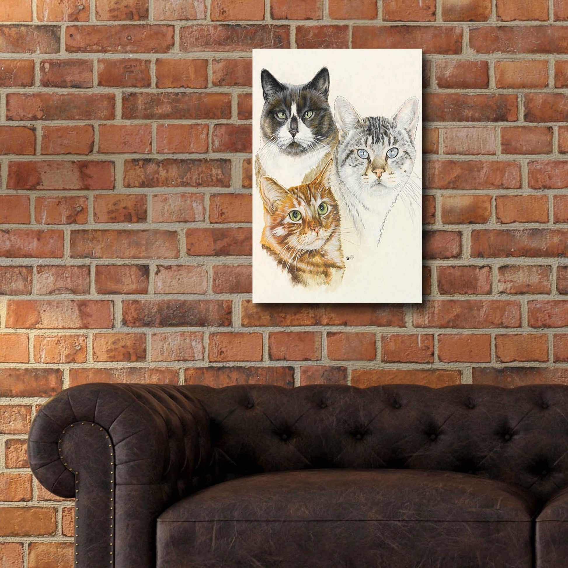 Epic Art 'American Shorthair 2' by Barbara Keith, Acrylic Glass Wall Art,16x24