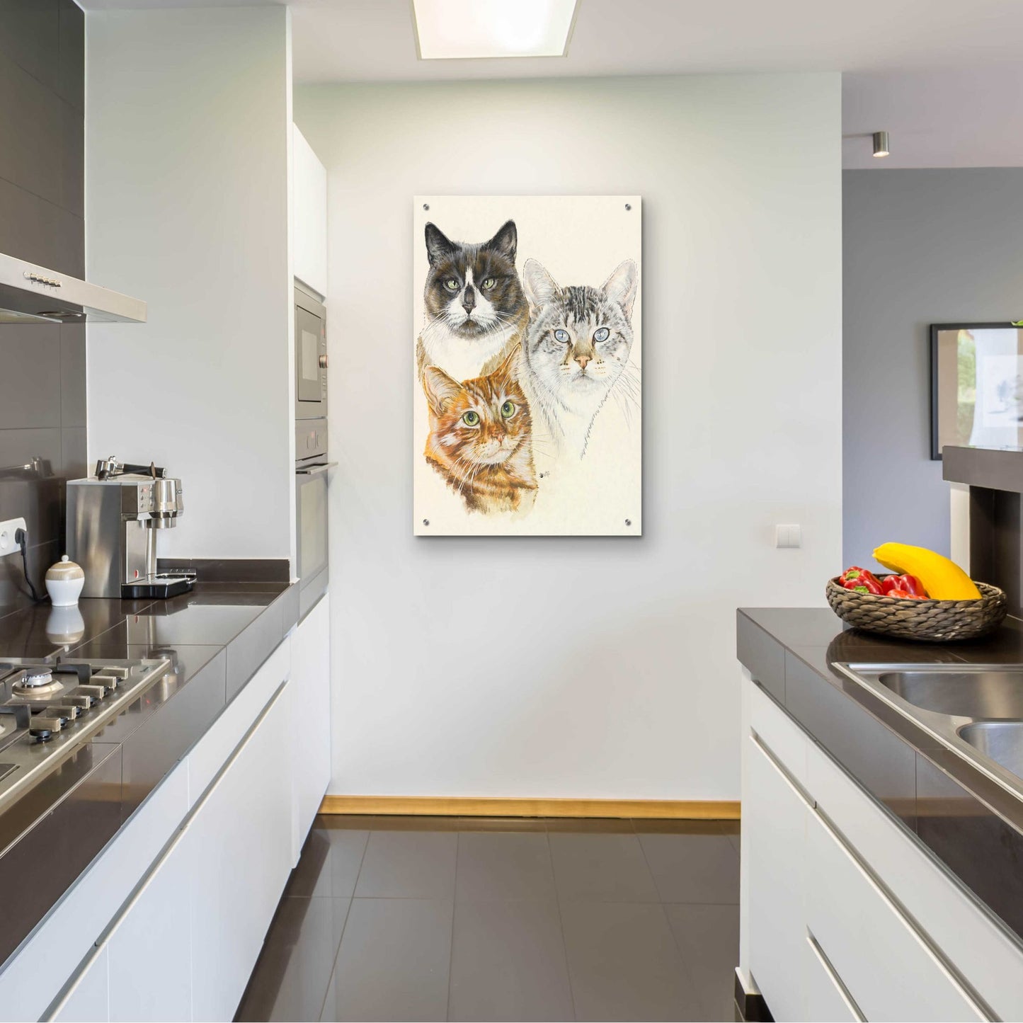 Epic Art 'American Shorthair 2' by Barbara Keith, Acrylic Glass Wall Art,24x36