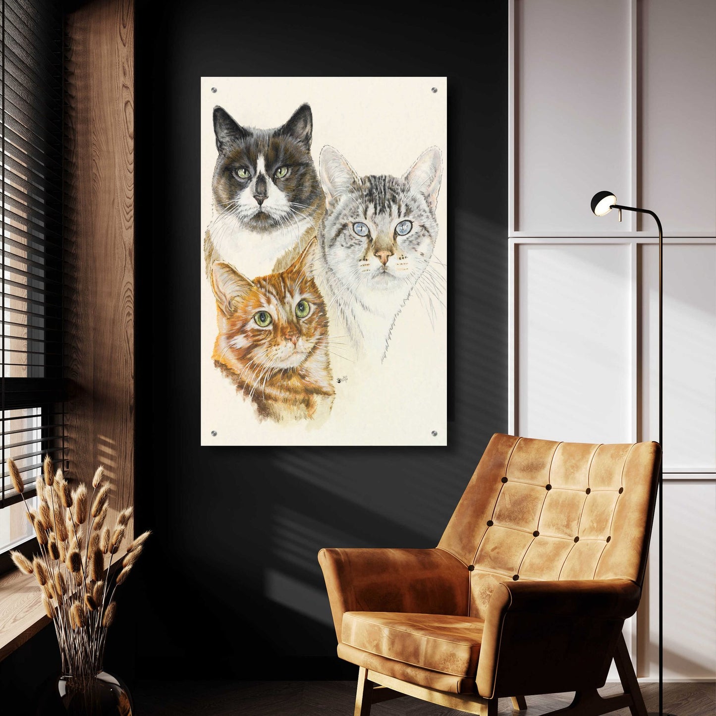 Epic Art 'American Shorthair 2' by Barbara Keith, Acrylic Glass Wall Art,24x36