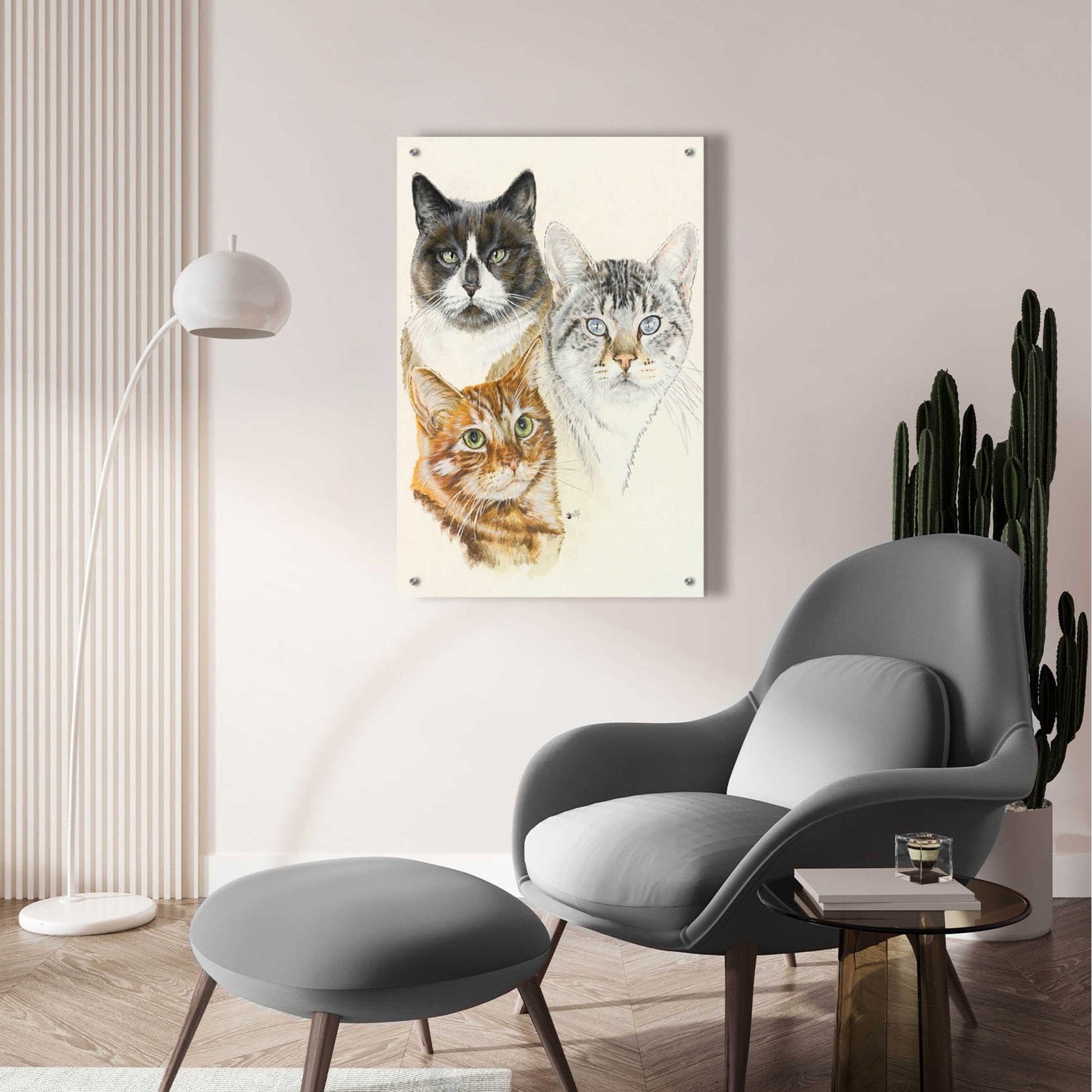 Epic Art 'American Shorthair 2' by Barbara Keith, Acrylic Glass Wall Art,24x36