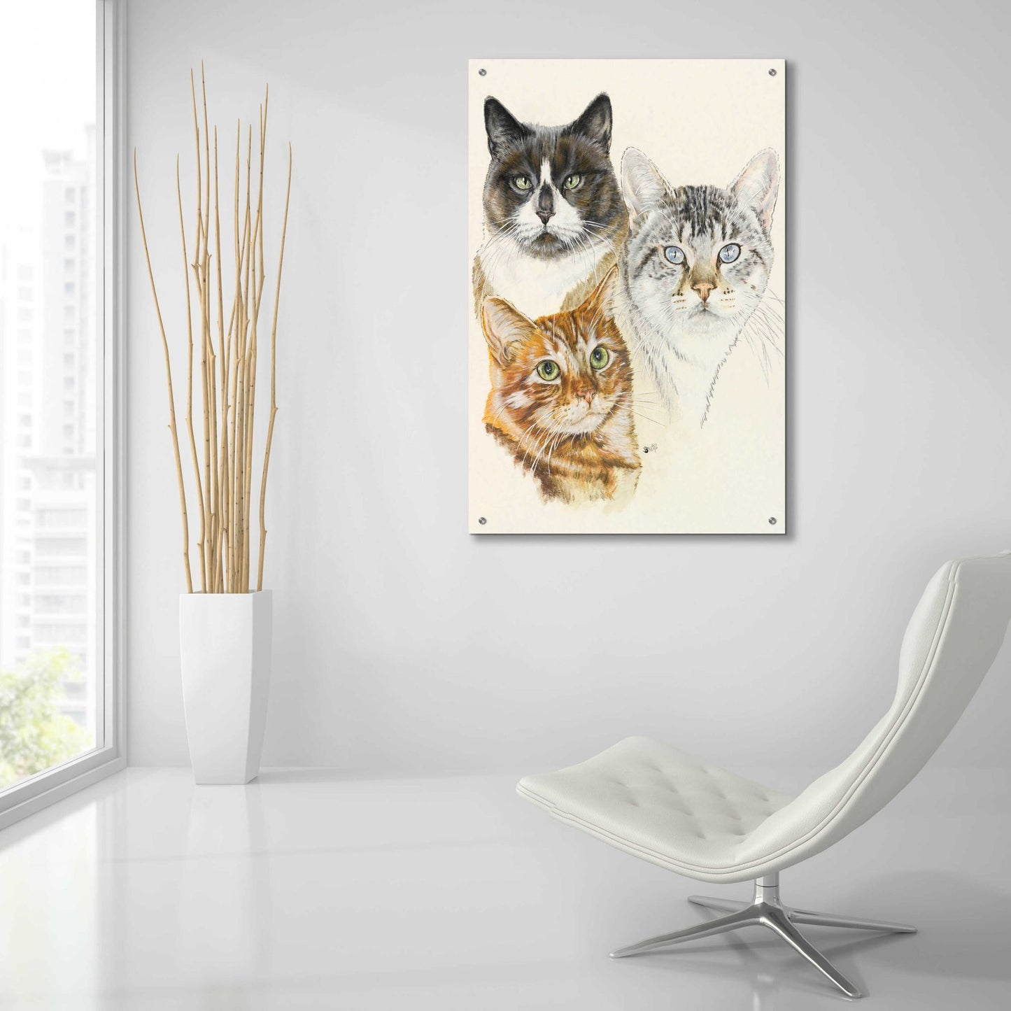 Epic Art 'American Shorthair 2' by Barbara Keith, Acrylic Glass Wall Art,24x36